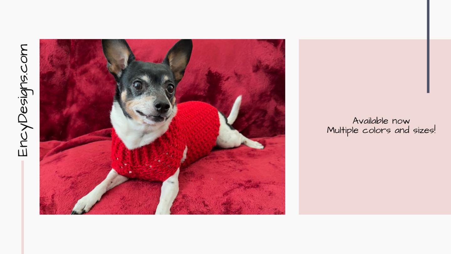 Pepper is wearing the cutest red sweater for Valentine’s Day, but other colors and sizes are also available! Shop EncyDesigns.com
#handmadegifts #ilovemydog #shopsmallbusiness #dogsweater #nebusiness #sweaterweather #petsweater #handmadeisbetter