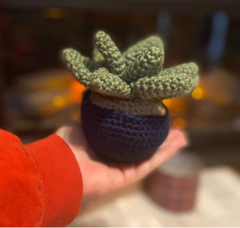 Succulents that live forever? Yes please! Get this cute crochet succulent perfect for any home or office - makes a cute gift idea too.
https://www.encydesigns.com/product-page/crochet-succulent-echeveria
#handmadegifts #crochethouseplant #crochetplants #shopsmallbusiness #nebusiness #handmadeisbetter #encydesigns