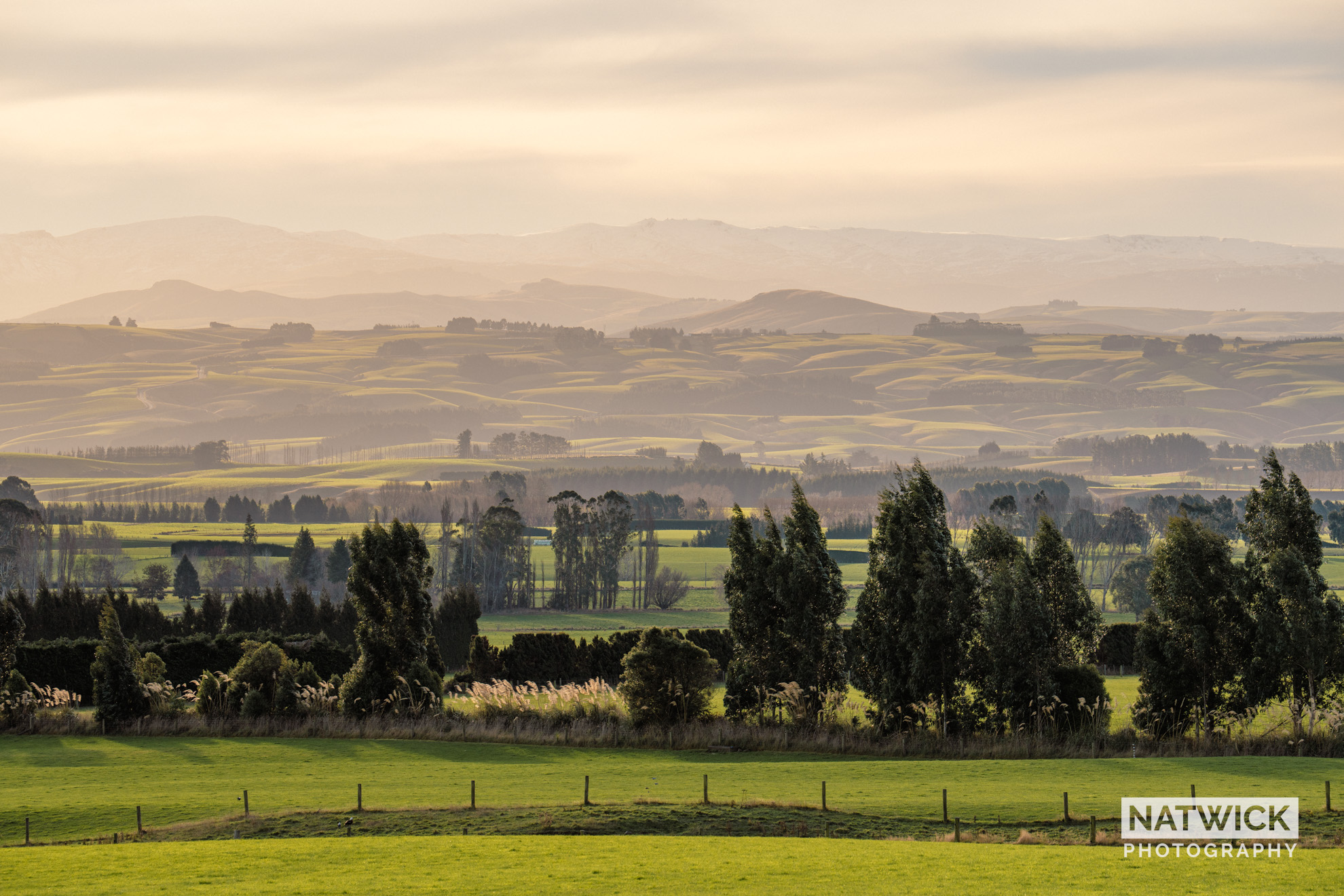 Early morning light shining on Moa Flat in the distance.
📸 Natwick
#westotago #landscape #sonyalphanz #sonyalphafemale
