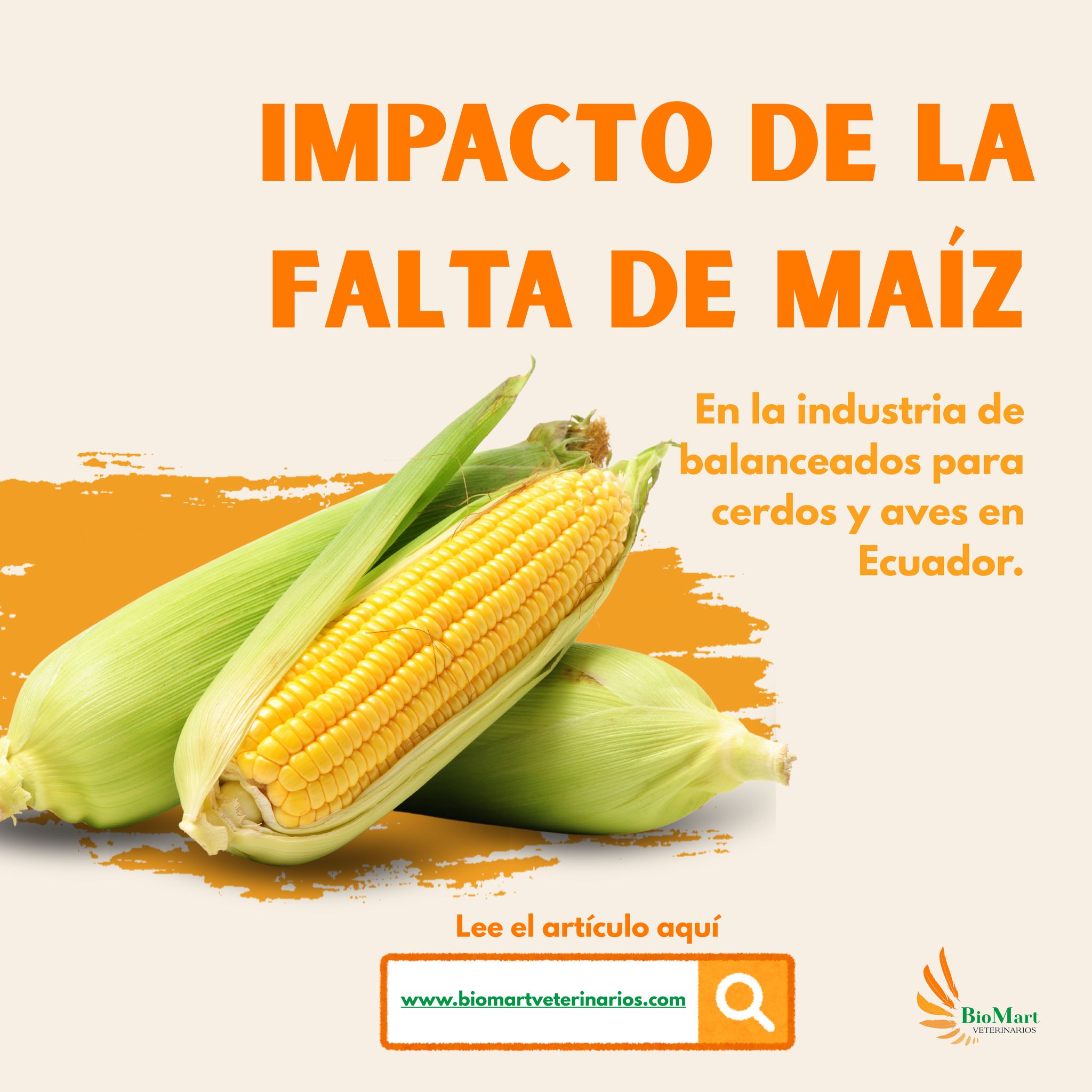 🔍 La falta de maíz en 2024 revela vulnerabilidades estructurales del sector agropecuario.
Desde el sobreprecio hasta el riesgo de micotoxinas… te explicamos todo.
📚 Lee el análisis completo en nuestro blog.
Accede a nuestro link: https://www.biomartveterinarios.com/blog
#seguridadalimentaria #produccionanimal #biomartveterinarios #veterinarios #PATENTCO #NutriciónEficiente #Cerdos #nutricionporcina #saludanimal #nutricionanimal #avicultores #maíz #aves