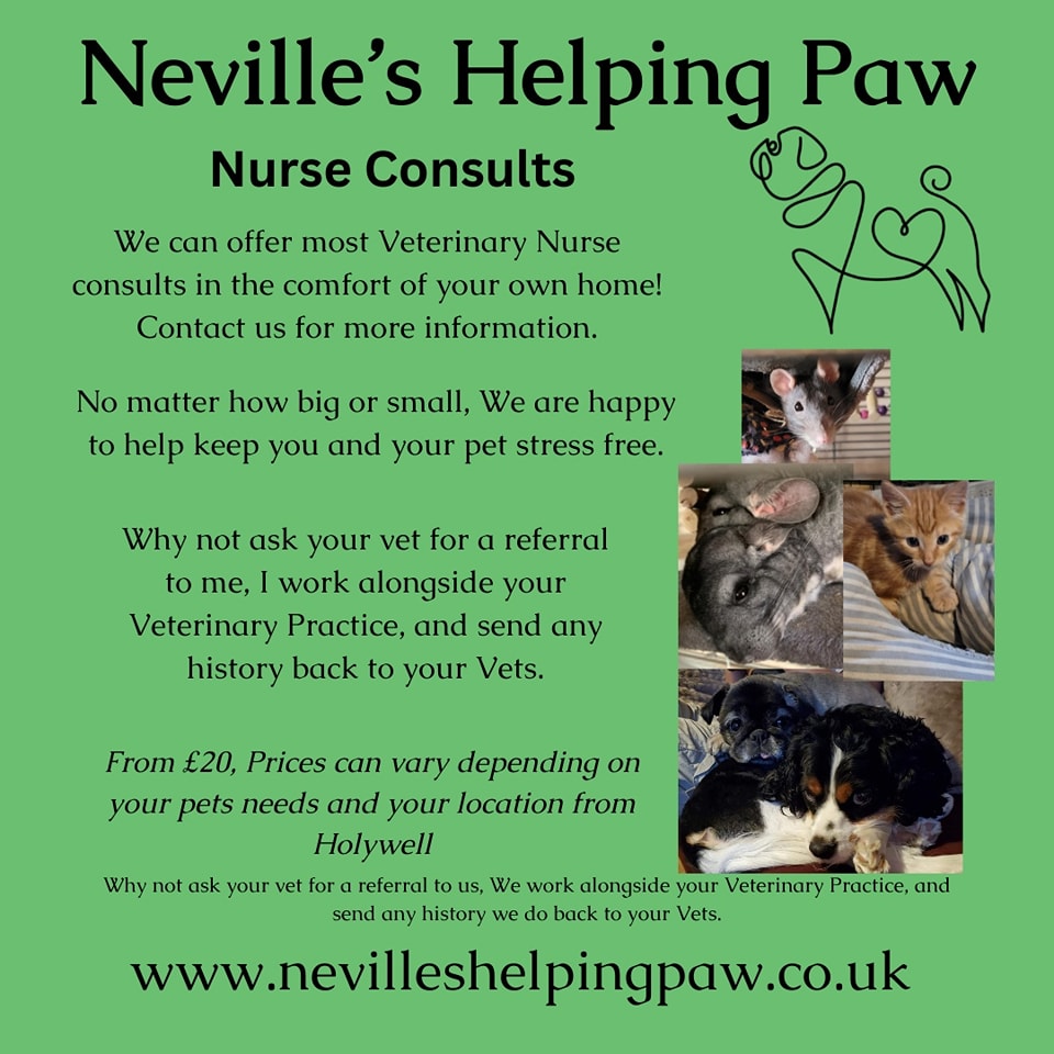 Nurse Consults anything from clip nails, empty anal glands, and clean ears.