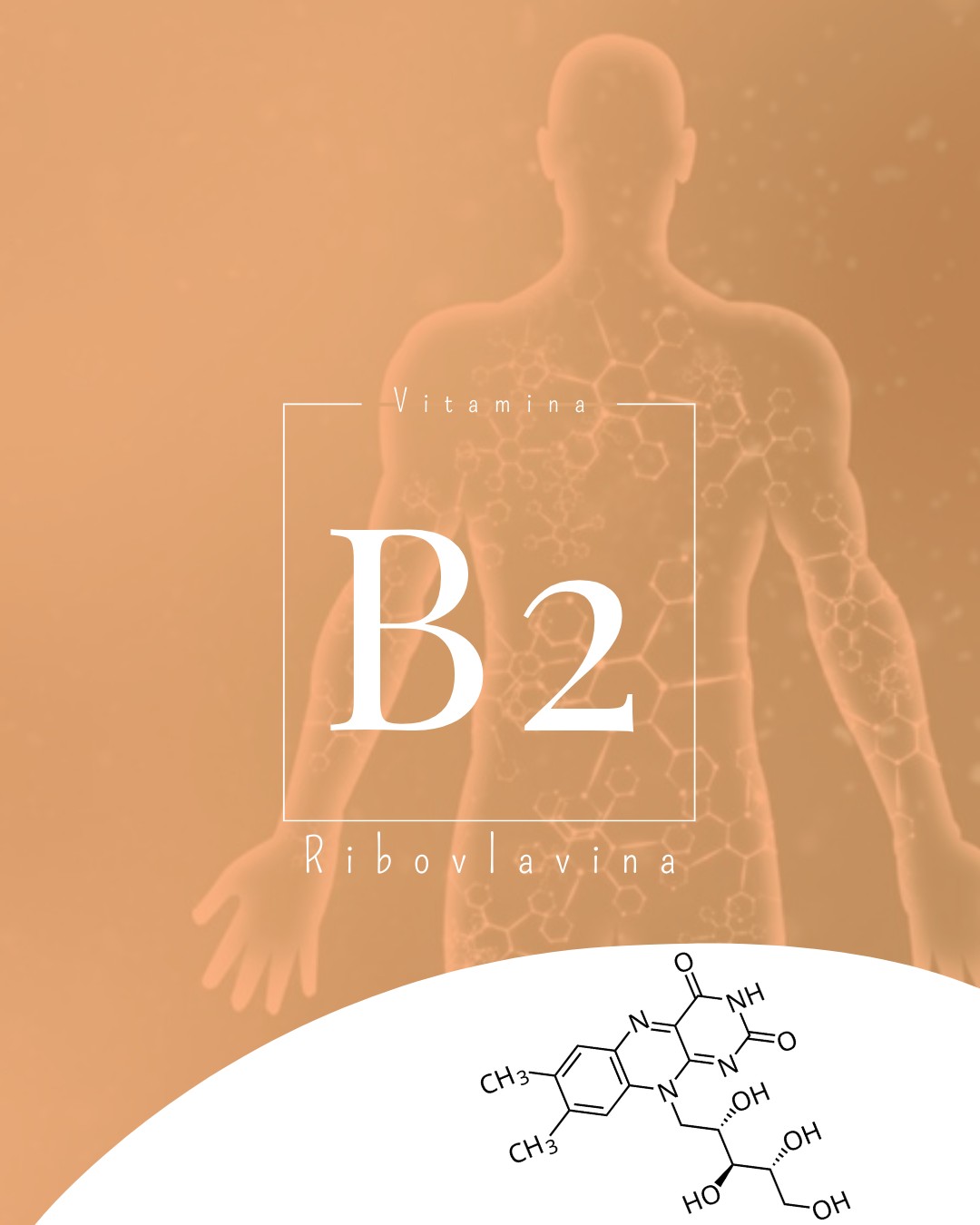 "Mănâncă morcovi, că este bine pentru ochi!" 👀 Cred că fiecare a auzit această frază măcar odată în viață.
Dar cine s-ar fi gândit că și vitamina B2 joacă un rol în calitatea vederii, și nu numai? 😎
#iwannaknow #natanaelferma #life #lifestyle #creation #nature #vitamins #biology #vitamine #viata #sanatate #health #healthmatters