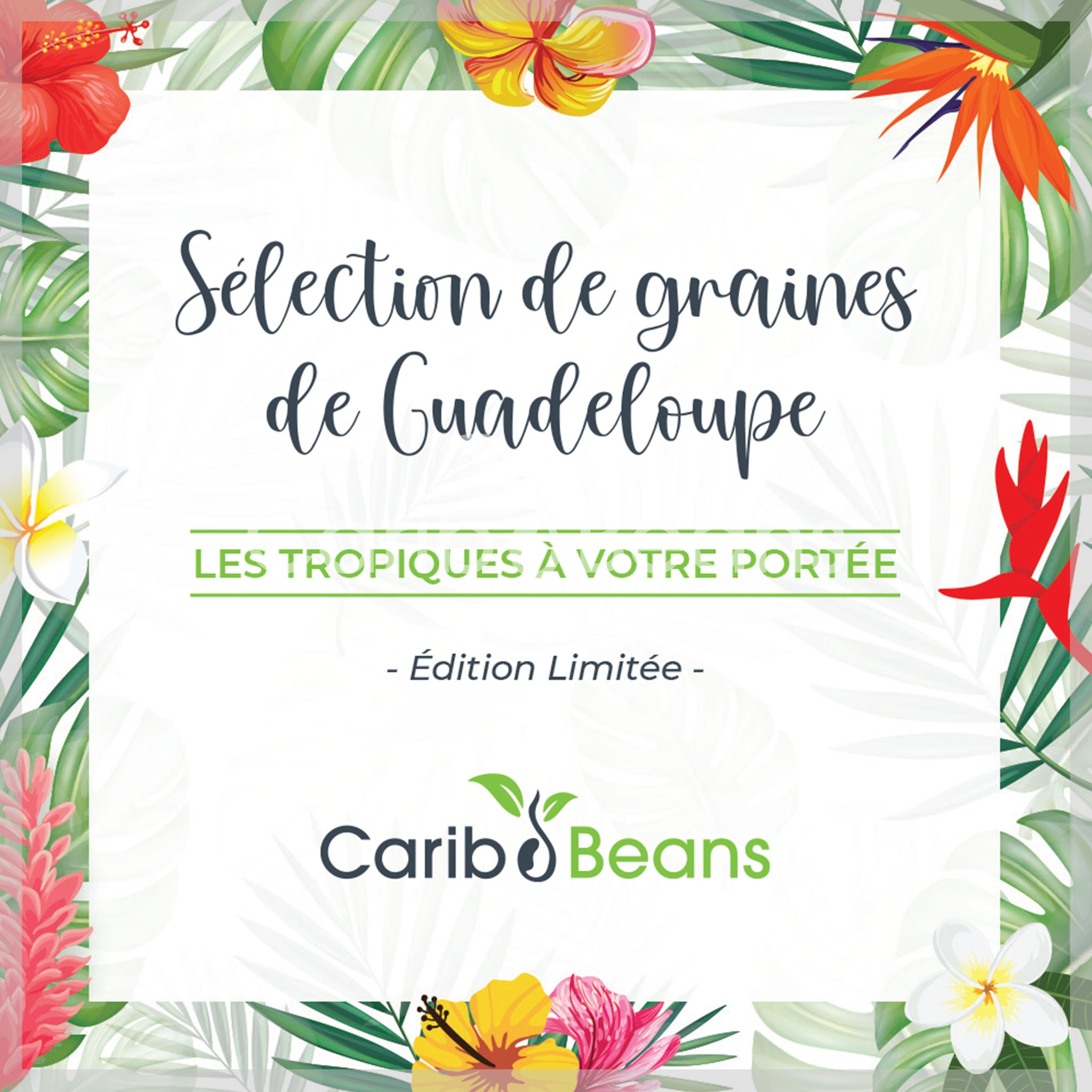 Vous pouvez aussi suivre le compte Instagram pour voir plus de contenu.