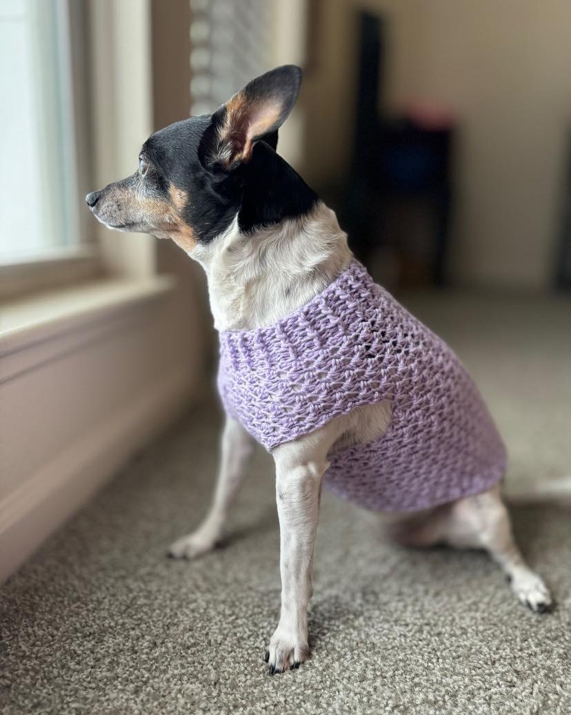 These pet sweaters are adorable, soft, and perfect for spring! Your fur baby needs one today - also makes a cute gift idea. Available in different sizes and colors
https://www.encydesigns.com/product-page/lavender-crochet-pet-sweater
#handmadegifts #encydesigns #ilovemydog #shopsmallbusiness #dogsweater #sweaterweather #petsweater #dogclothes #puppysweater #handmadeisbetter