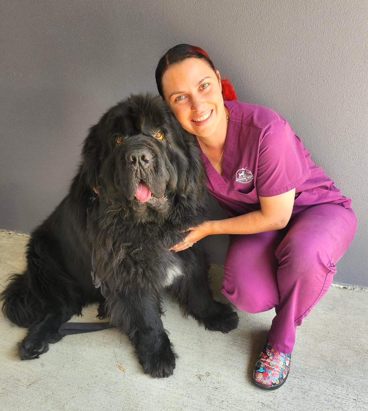 Success story! ๐๐ป
2 weeks ago, ๐ถ Kodah the Newfoundland had a bad skin rash and gunky eyes that were causing a lot of itch and discomfort. After 2 weeks with the right treatment, weโre happy to report the rash is healing beautifully! ๐ฅฐ
Summer can be tough on our petsโ skin! ๐ Many dogs are prone to skin rashes in hot weather due to allergies, or increased humidity. ๐ตโ๐ซ
If you notice itching, redness, or unusual skin changes, contact us for a home vet visit. Letโs keep their summer itch-free! ๐พ
#brisnorthmobilevet #mobilevetbrisbane #boondallvet #mobilevet