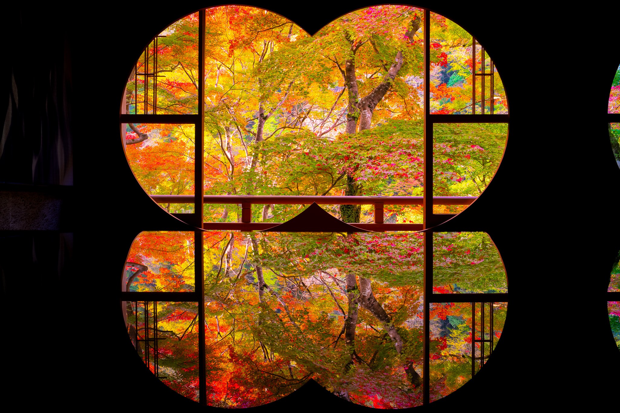 Back from another spectacular Japan Autumn workshop. A great group, great conditions, some new locations and revisited some old ones, I came back with a bunch of photos that I was incredibly happy with from this trip.
Workshop for 2025 is now open for reservations, this trip always sells out so if you would like to join us, go over to my website and save your spot!
Shot with Sony A7RV with 24-70 GMII, Maven CPL Filter
#japan #autumnvibes #japantravel