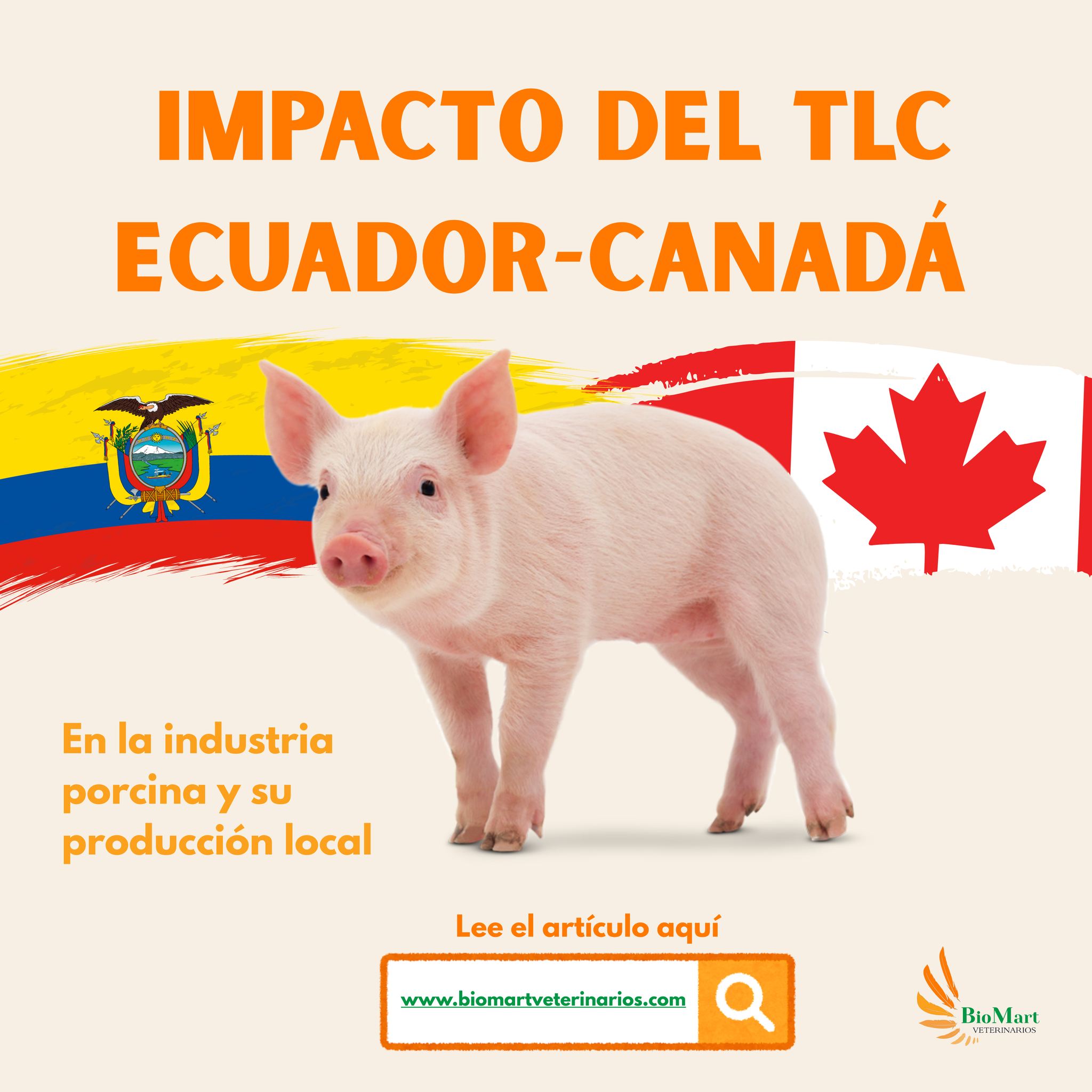El TLC Ecuador–Canadá impone un nuevo reto a la industria porcina nacional: competir con una potencia exportadora altamente subsidiada. Analizamos el impacto en costos, producción local y seguridad alimentaria. 🐖📊
Lee el nuevo artículo en nuestro blog:
https://www.biomartveterinarios.com/blog
#ProducciónPorcina #TLC #SanidadAnimal #biomartveterinarios #Cerdos #veterinarios #seguridadalimentaria #biomartveterinarios #nutricionanimal #porcicultura #nutricionporcina