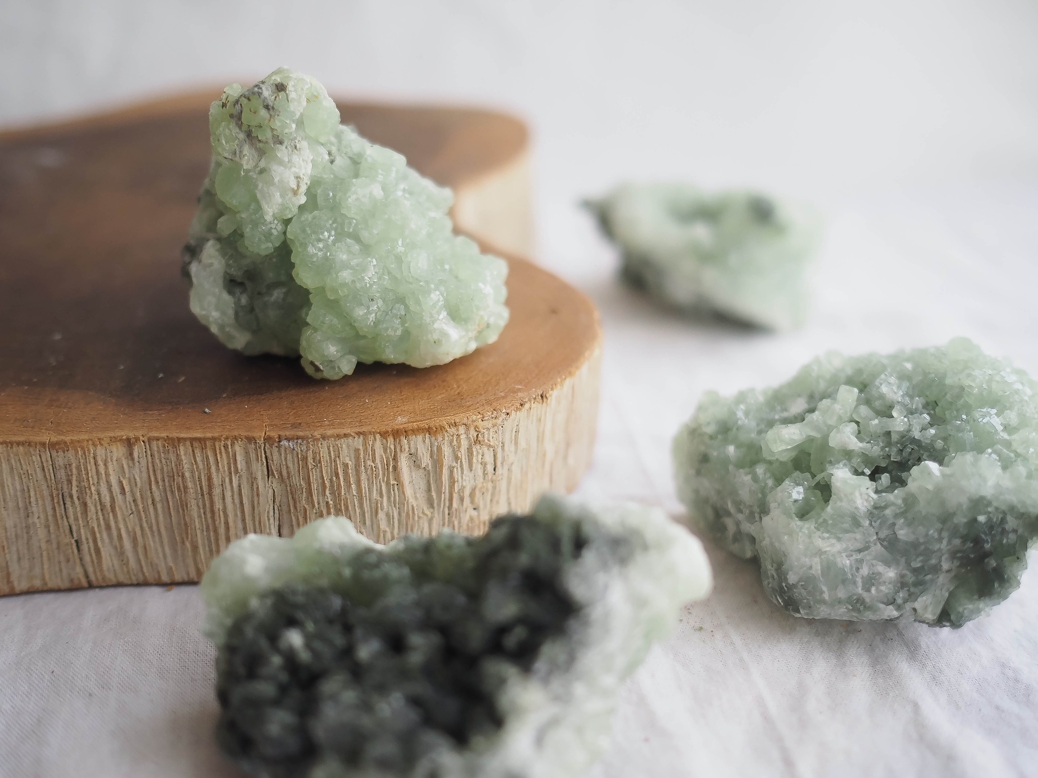 Prehnite 💚 Decidimos hoje também partilhar a energia deste cristal, que neste momento nos está a trazer conforto e paz 💚
Ela ensina a estar em harmonia com a natureza.
Alivia os pesadelos e medos profundos.
Promove paz.
Trata problemas renais e aumenta a imunidade.
Mas mais do que tudo, ensina-nos a estar em paz com os nossos desafios. Quando há cosias na nossa vida que parecem menos bem, ela instala a calma, permite-nos relaxar e confiar que vai tudo correr da melhor forma.
É muito intensa porque nos trás a harmonia e serenidade da natureza mas também nos dá a sua força. Com ela sentimos uma forte conexão ao momento presente, sem medos, sem ansiedade....
Não há como descrever esta energia a não ser senti-la! 🥰
As que estamos a usar é uma drusa e uma rolada. Podes encontrá-las na tua loja favorita claro! 🥰 www.jami.pt
#quartz
#crystals
#crystalhealing
#healingcrystals
#cristais
#curacomcristais
#reiki
#lojadecristais
#crystalshop
#crystallovers
#crystaloftheday
#goodvibes
#geology
#heal
#naturaltherapies
#autoconhecimento
#natural
#mineral
#meditar
#meditation
#pazinterior
#bemestar
#cura
#terapiasalternativas
#terapeuta
#holistic
#lifestyle
#holistichealing