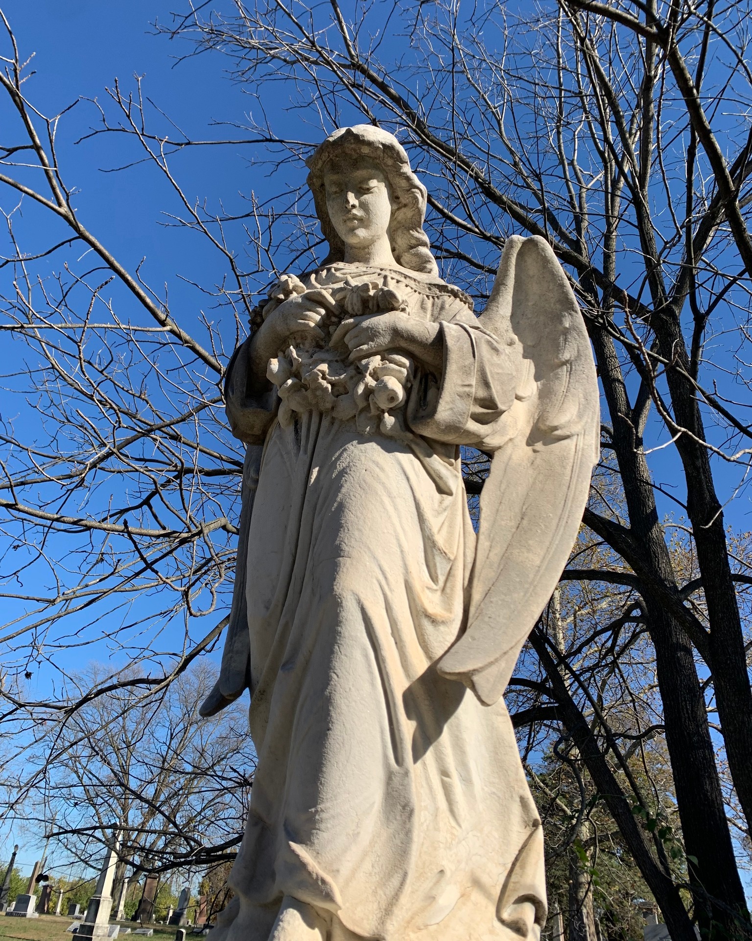 Why do graves often feature statues and angels? These symbols of love and memory offer comfort and hope. Angels are seen as guides to the afterlife, while statues honor eternal devotion. They turn cemeteries into spaces of art, history and reflection. 👼
#nicolasolvinic #thehuntersdaughter #cemeteries #angels #gravestones