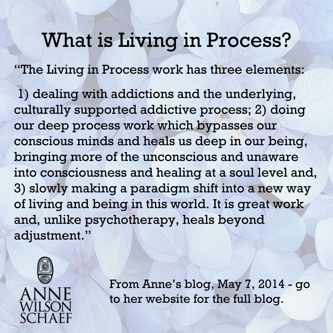 "The Living in Process work has three elements:
1) dealing with addictions and the underlying, culturally supported addictive process; 2) doing our deep process work which bypasses our conscious minds and heals us deep in our being, bringing more of the unconscious and unaware into consciousness and healing at a soul level and, 3) slowly making a paradigm shift into a new way of living and being in this world. It is great work and, unlike psychotherapy, heals beyond adjustment." #recoveryfromaddiction #livinginprocess #soulgrowth #paradigmshift #healing