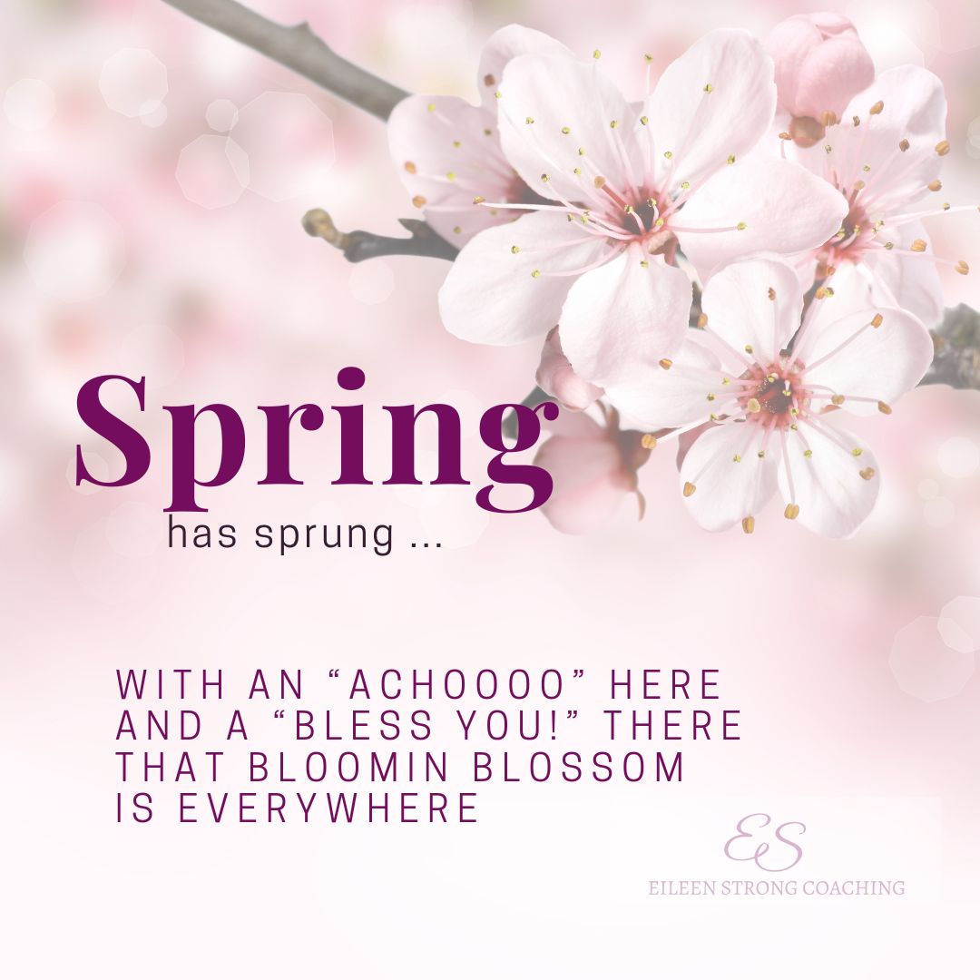 Spring has arrived, bringing it with the Hay Fever Season! ๐คง So whilst the early blossoms are very VERY beautiful indeed, if your eyes are all red, watery and runny, your nose is all a-drip, and your throat feels like the bottom of a budgerigar's cage, the daily Pollen Count reading can become a thing of vital importance over the next 7-8 months.
So what are your Go To Hay Fever Hacks? ๐คง๐ต๐ฅด
I've just written a Blog on these (link in comments below) and if I've missed anything, please let me know! Thank you, and Bless you.