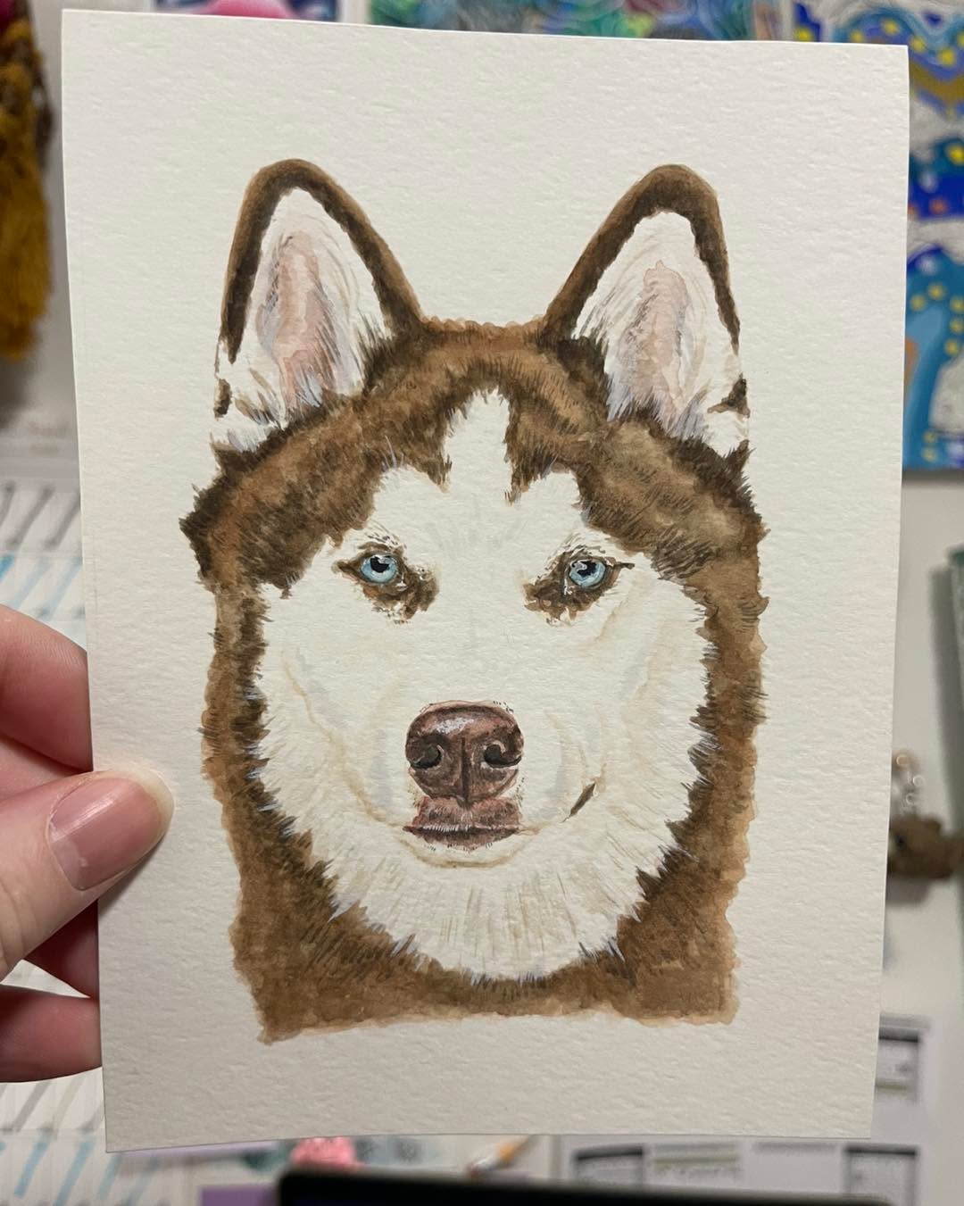 Who wouldn’t fall in love with these blue eyes? 🥰 Another dog breeds added to the collection! Husky!
