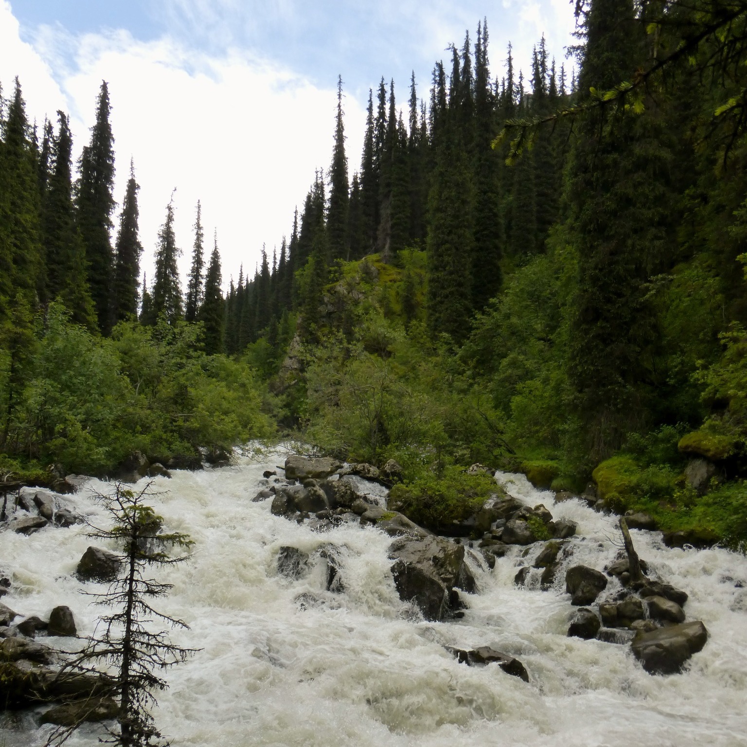 ๐ธ๐๏ธ Spring in Kyrgyzstan is a sight to behold! Join Arista Travel and witness the blooming beauty of nature. ๐ทโจ #Kyrgyzstan #Nature #AristaTravelAsia #SpringAdventures