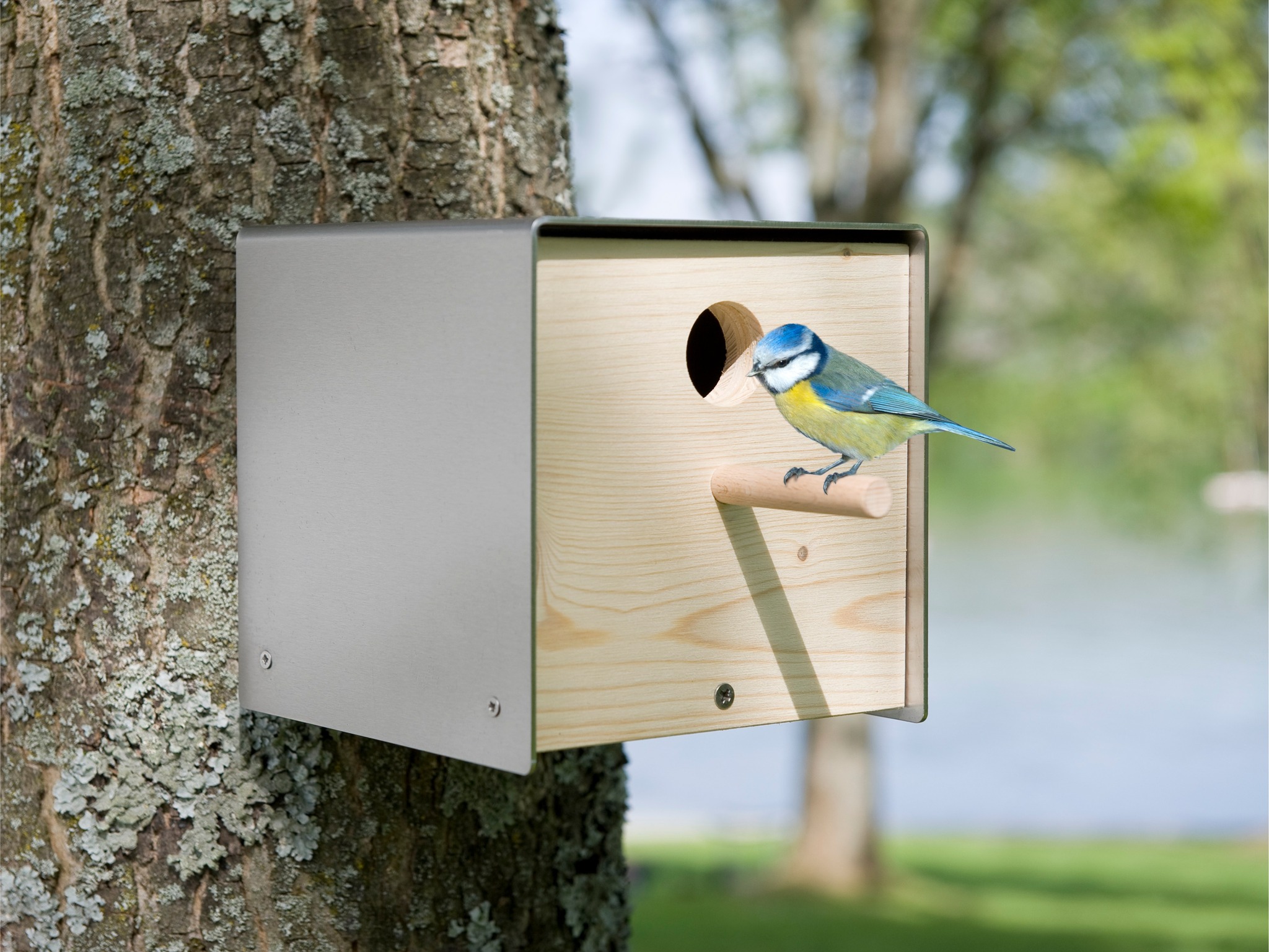 Elo disponible, eist Vullenhaischen aus Holz mat Edelstol oder Cortenstol. Kann un e Baam, Poteau oder opgehang ginn. Präis 89euro ttc
Dir kennt via Letzshop oder per Email bei eis bestellen :
👉https://letzshop.lu/fr/products/twitter-vogelhaus-e15f1c
👉info@metal-outdoor.lu