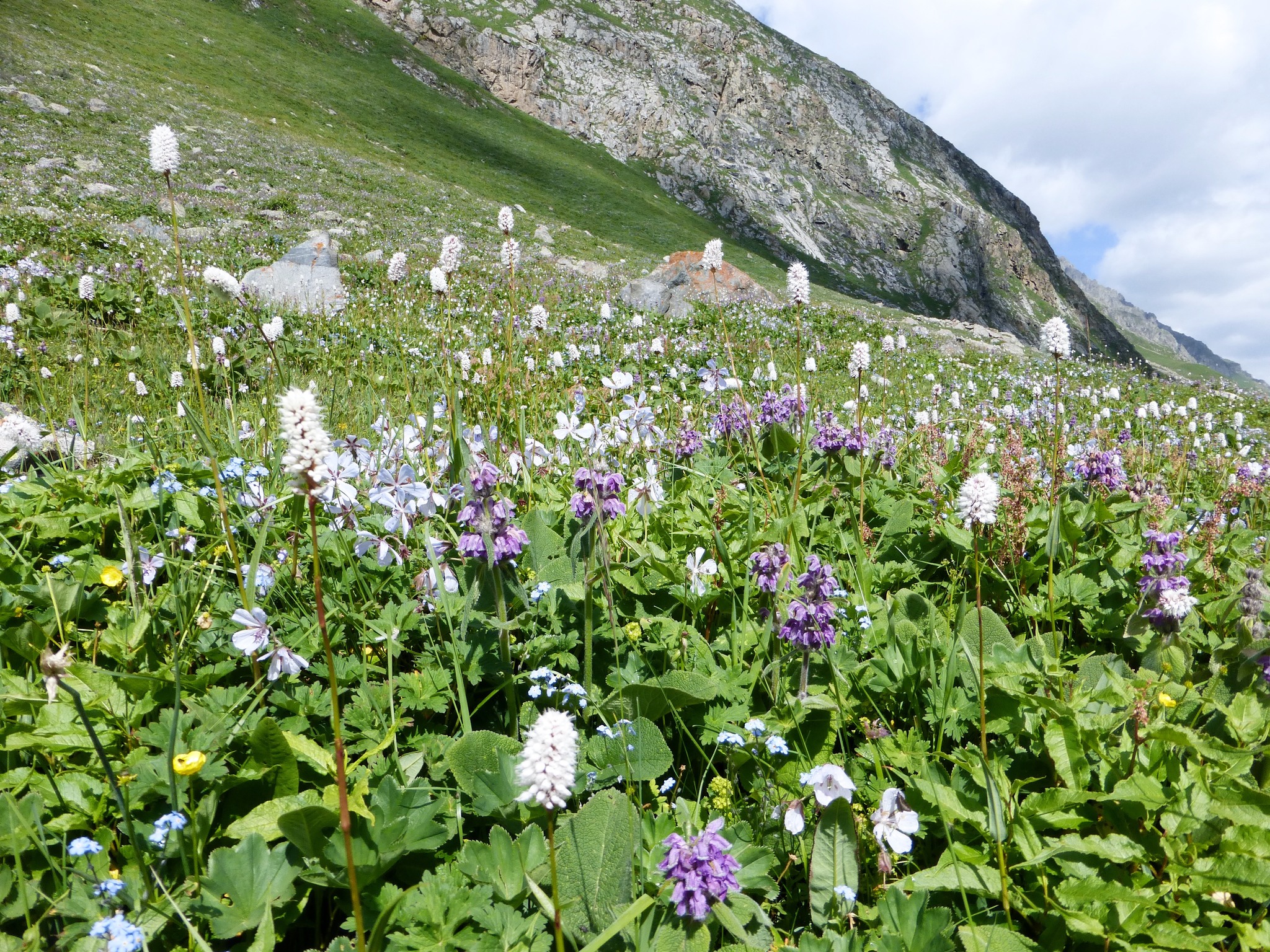 Enjoying a peaceful day at Issyk-Kul Lake. Kyrgyzstanโs beauty never ceases to amaze. #AristaTravelAsia #Kyrgyzstan #TravelGoals