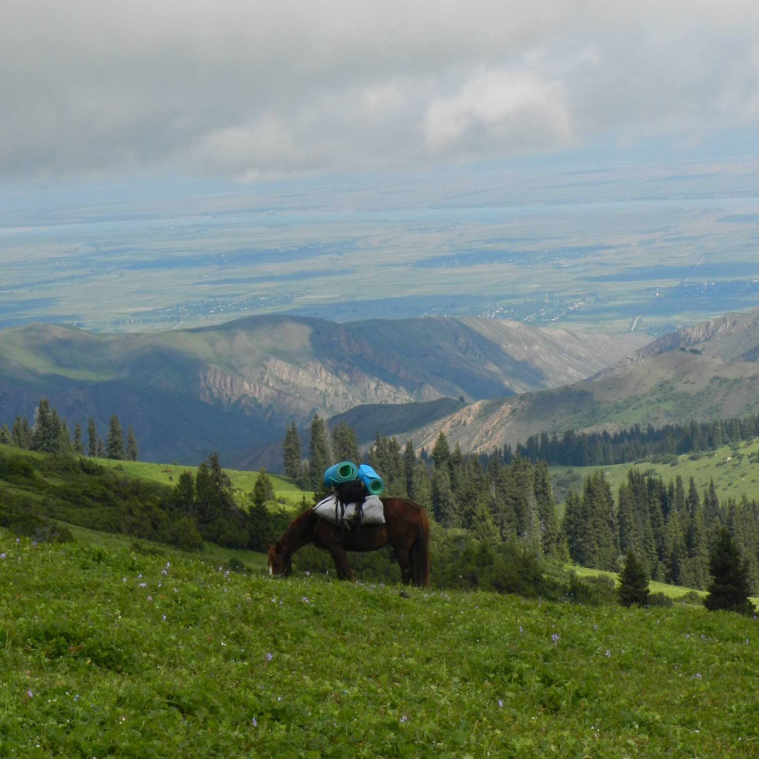 Horseback riding tours in #kyrgyzstan
Open new places with #aristatravelasia