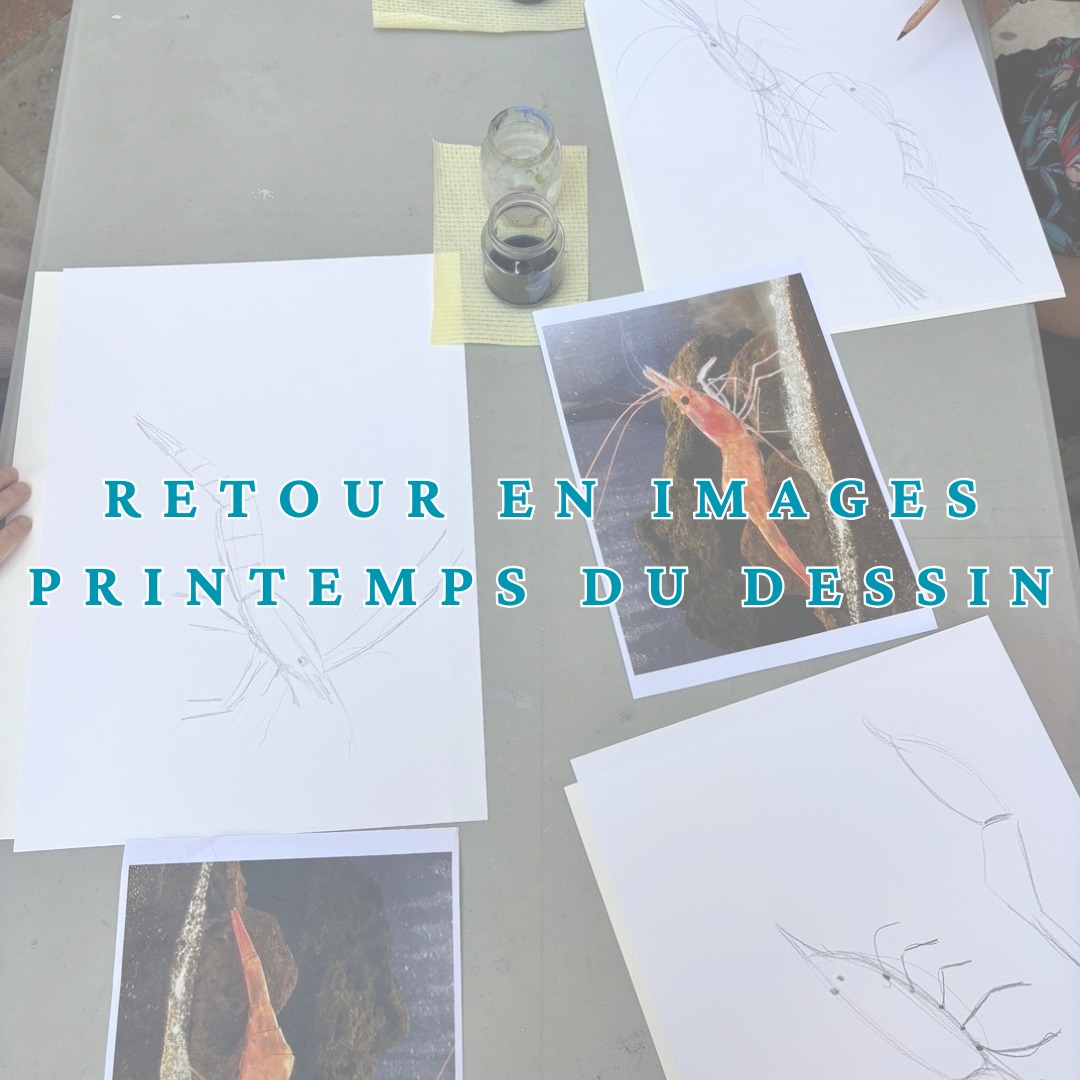 Retour sur les moments marquants du Printemps du Dessin ! 🌿
Cet évènement a été l'occasion d'échanges enrichissants avec l'artiste Aurore de la Morinerie, offrant une immersion profonde dans l'univers du dessin et de la création ! ✏️✨
@printempsdudessin @auroredelamorinerie @kookabarra_juice
#campredonartetimage #exposition #printempsdudessin #atelier #auroredelamorinerie #kookabarra #exposition #danslavague #musee #suddefrance #vaucluse #islesurlasorgue #art #culture #museum
