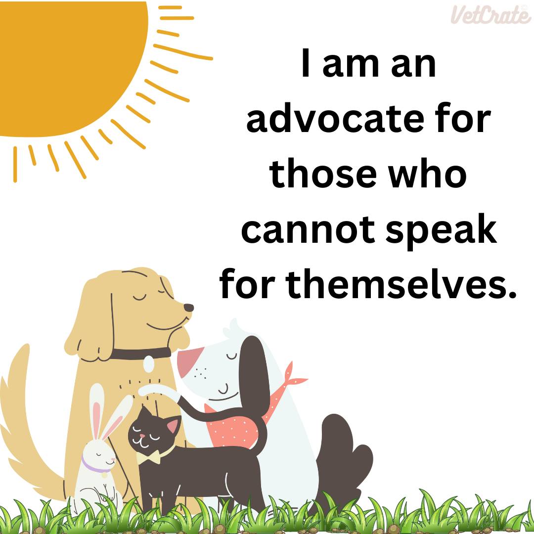 🐾✨ Veterinary Medicine is Tough—But So Are You ✨🐾
Every day, veterinary professionals pour their hearts into caring for animals and supporting pet parents. That’s why affirmations and encouragement matter more than ever.
💬 Whether you’re a vet, tech, assistant, or part of the support team, you deserve a space that lifts you up.
🌟 Join us in the Pawsitive Veterinary Mindset Facebook group—a community created just for YOU. Get daily affirmations, motivation, and reminders that your work matters.
🩺 You are skilled.
🐶 You are compassionate.
🐾 You are making a difference—one patient at a time.
💛 Ready to fill your feed with uplifting, vet-focused inspiration?
➡️ Join here: Pawsitive Veterinary Mindset
#VetLife #VeterinaryAffirmations #PawsitiveMindset #VetSupport #AnimalCareProfessionals #VeterinaryWellness