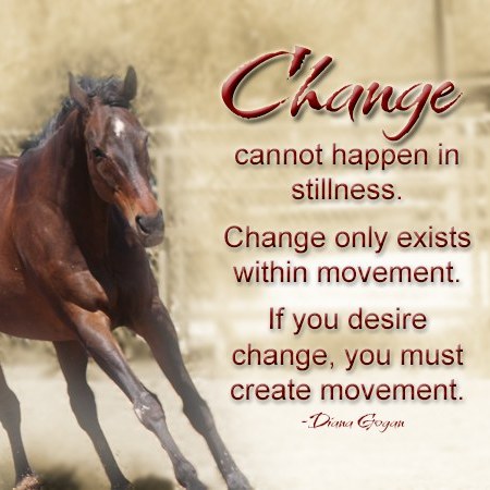 Ready for More Than a Workshop or Retreat? Welcome to an Immersive Journey!
Imagine a space that’s not just about learning—it’s about becoming.
Imagine: Where Dreams Come to Life, an Immersive Journey for Women blends the best of workshops and retreats into a transformational experience:
🌼 Empowering workshops to learn how to bring your dreams to life.
🌼 Hands-on, real-life experiences to start living those dreams.
🌼 Connection with like-minded women and the wisdom of horses.
This is more than an event—it’s a catalyst for change.
✨ Ready to take the first step into your new life? https://www.dianagogan.com/imagine
#WhereDreamsComeToLife #ImmersiveJourney #DreamBig #DreamBigLiveFully #dianagogancoaching