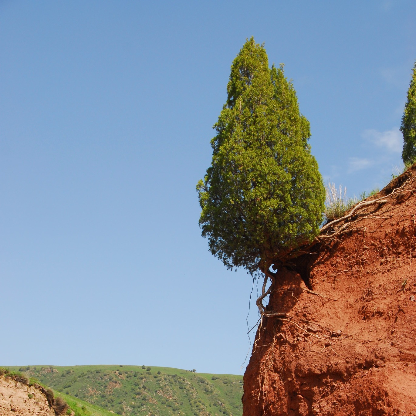 🏔️🌲 Embark on a hiking adventure through Kyrgyzstan’s stunning landscapes with Arista Travel. Discover nature’s hidden gems! 🌟💚 #Kyrgyzstan #Nature #AristaTravelAsia #HikingAdventure