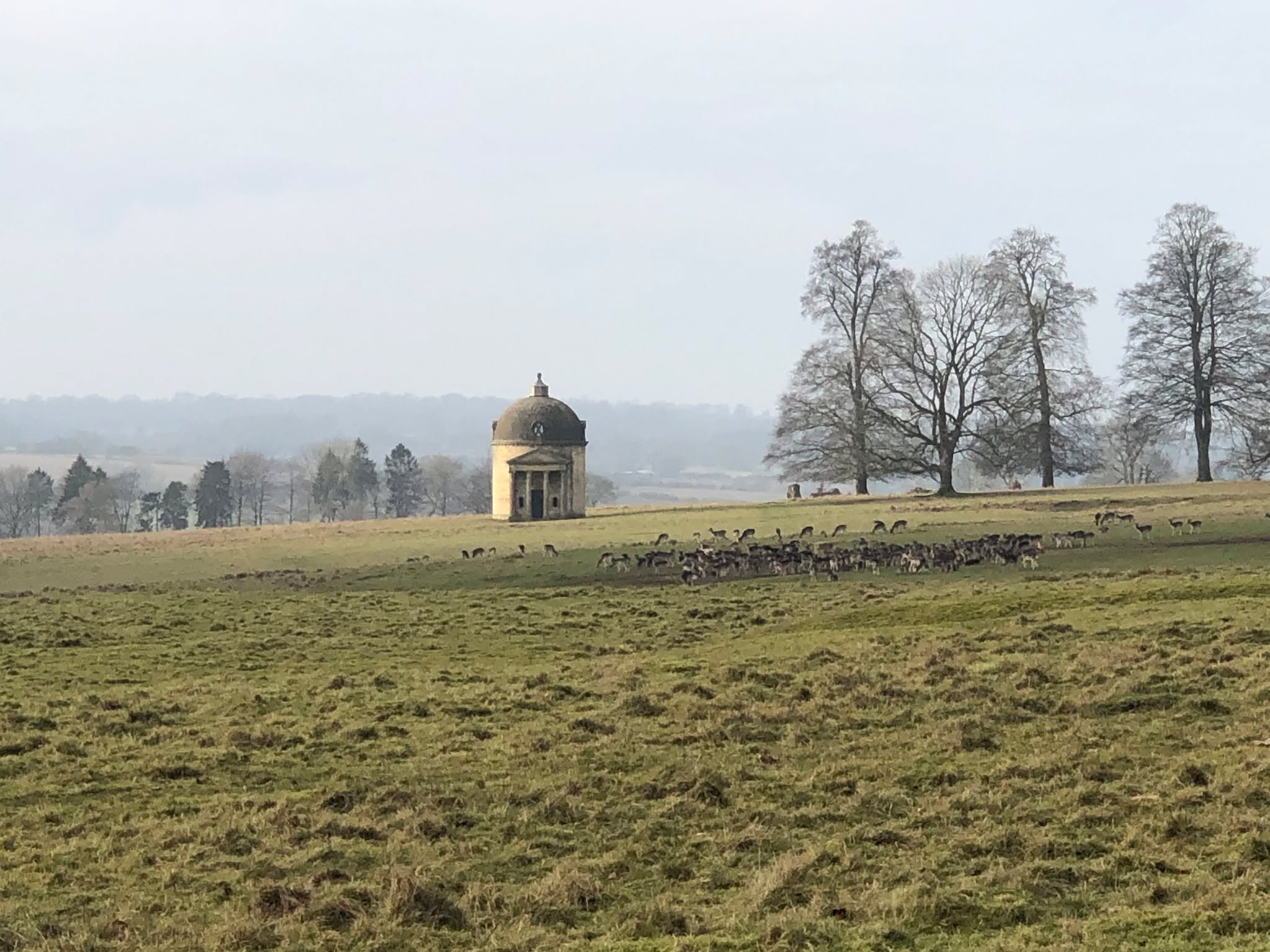 This fake Roman temple is a surprising addition to the Cotswold landscape. It's a folly (a show-off structure with no real purpose, although this one acts as a dovecote) in the grounds of Barrington Park, and dates from the 18th century.
DM to book a top Cotswolds tour.
#offbeatcotswolds #bluebadgeguide #bluebadgeguides
#britainsbestguides #Cotswolds #thecotswolds
#inthecotswolds #cotswoldcountry #Cotswolds_Culture #lovethecotswolds
#discoverthecotswolds #visitthecotswolds #discovercotswolds #cotswoldslife #cotswoldlife #thecotswolds
#your_cotswolds
#cotswolds #thecotswolds #cotswoldvillage #visitengland #englishvillage
#englishcountryside
#explore_britain_ #traveling_uk
#photosofengland #instabritain #europetravel