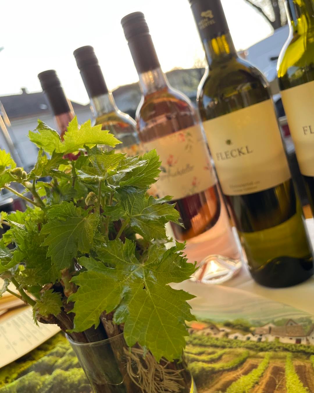 #Stehachterl #weingutfleckl #herrlichersonnenschein #weingenuss