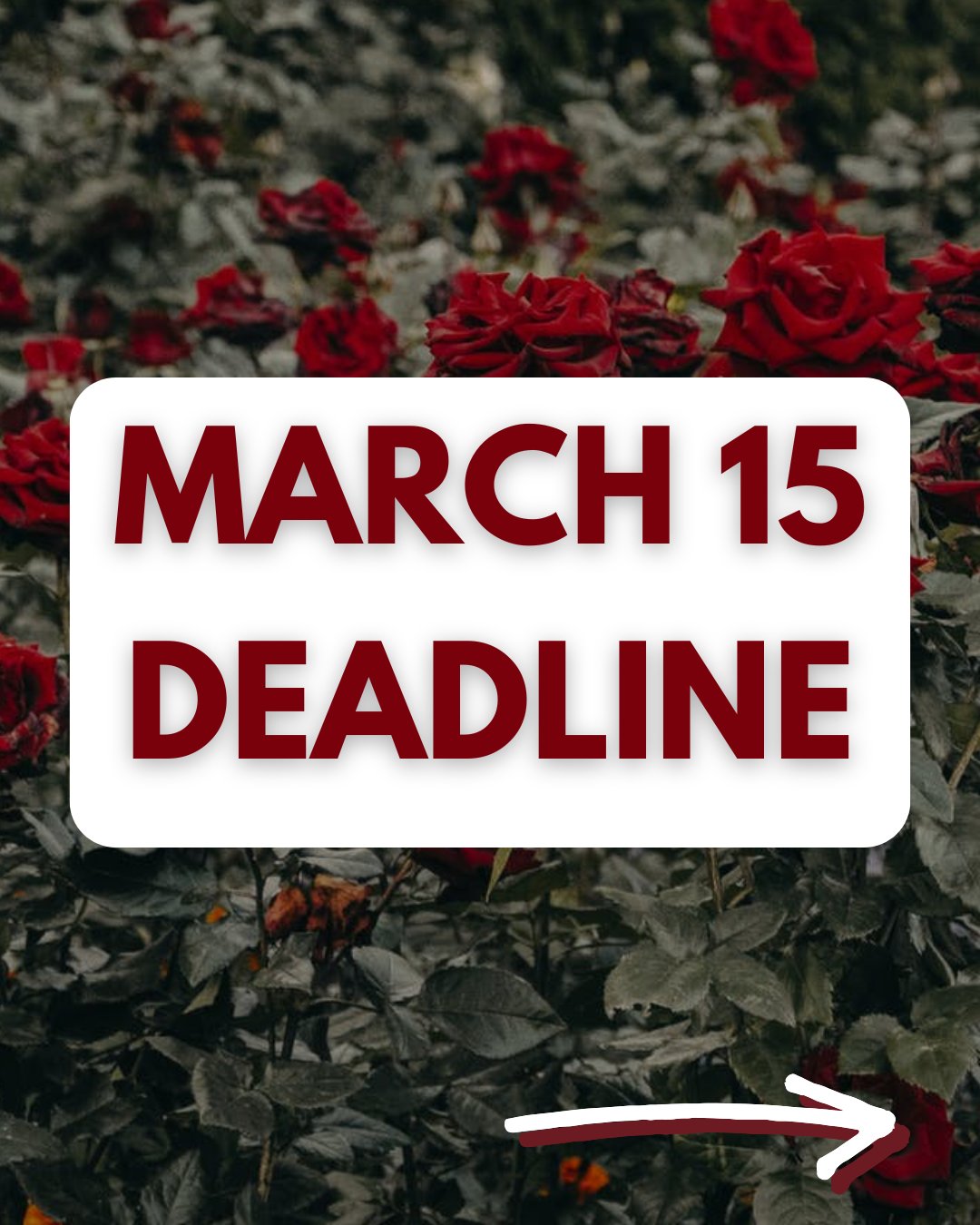 ➡ Don't miss the deadline to submit articles for our next publication on March 15!
➡ Please submit all articles to articles@usacfa.org by March 15, 2025 and let us know what questions you may have. We appreciate and look forward to reading about your experience!
➡ Visit www.cfroundtable.com/publication for more information.
#CFawareness #cf #cysticfibrosis #cfwarrior #cfirl