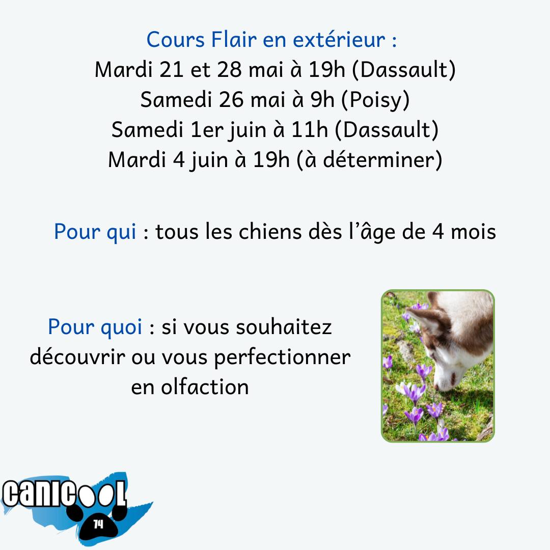 Infos sur les prochaines dates de séances collectives ! Balade, cours, flair, et paddle 🏄♀️
À vos inscriptions !
Lien pour les inscriptions dans la bio
#canipadlle #caniflair #baladechiens #détectioncanine #accompagnementprofessionnel #noseworkdog #nosework #baladechien #dogenjoylife #courscollectifschiots #courscollectifschien #baladecanine74 #baladecanine #comportementchien #communicationchienhumain #jeuxdeflair #flair #chienheureuxmaitreheureux #doglover #annecy #comportementcanin #canicool74 #comportementalistecanin #educationcaninepositive #lacannecy