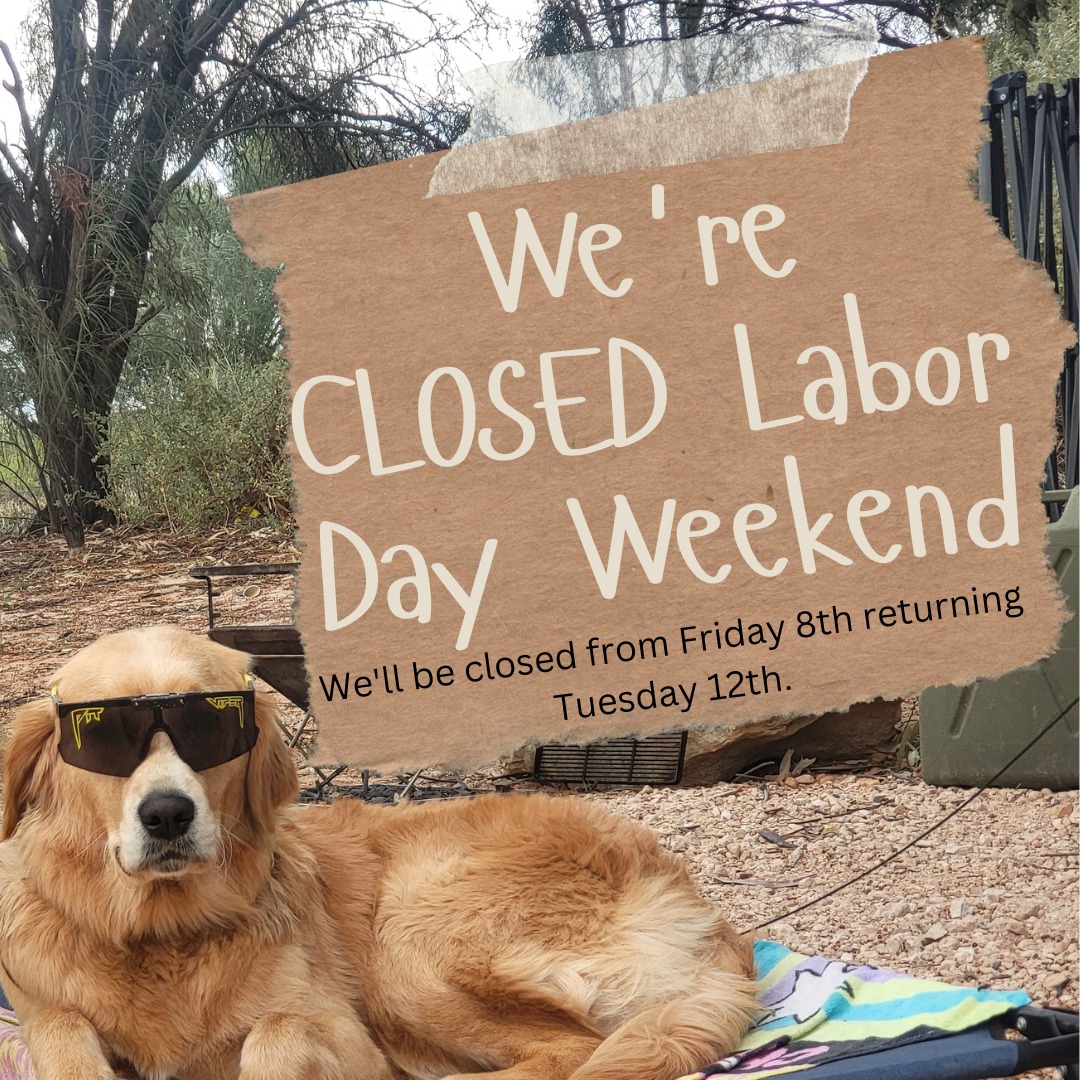 Its that time of year! Friday we'll all be sneaking off for our annual staff camping trip.
Back to normal Tuesday next week.