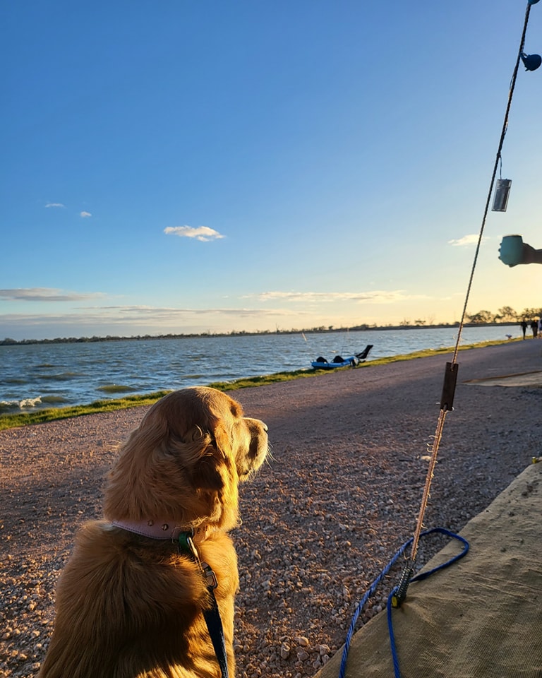 We're back at it this week. Jump online and book in that service you've been putting off. Or roll in.
The boss is still away this week too so roll past for a deal.