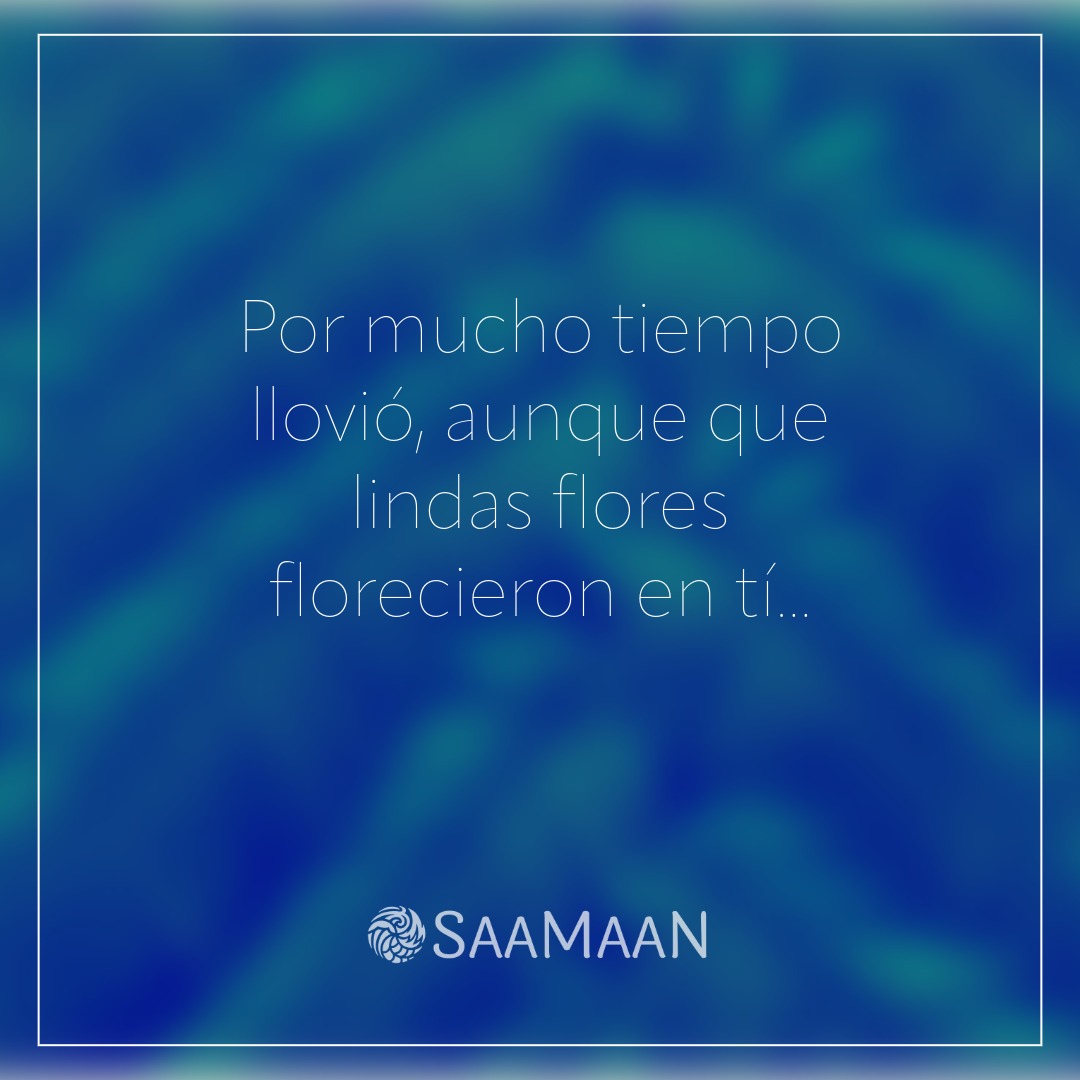 Hasta en tus días más oscuros puedes ver tu evolución.