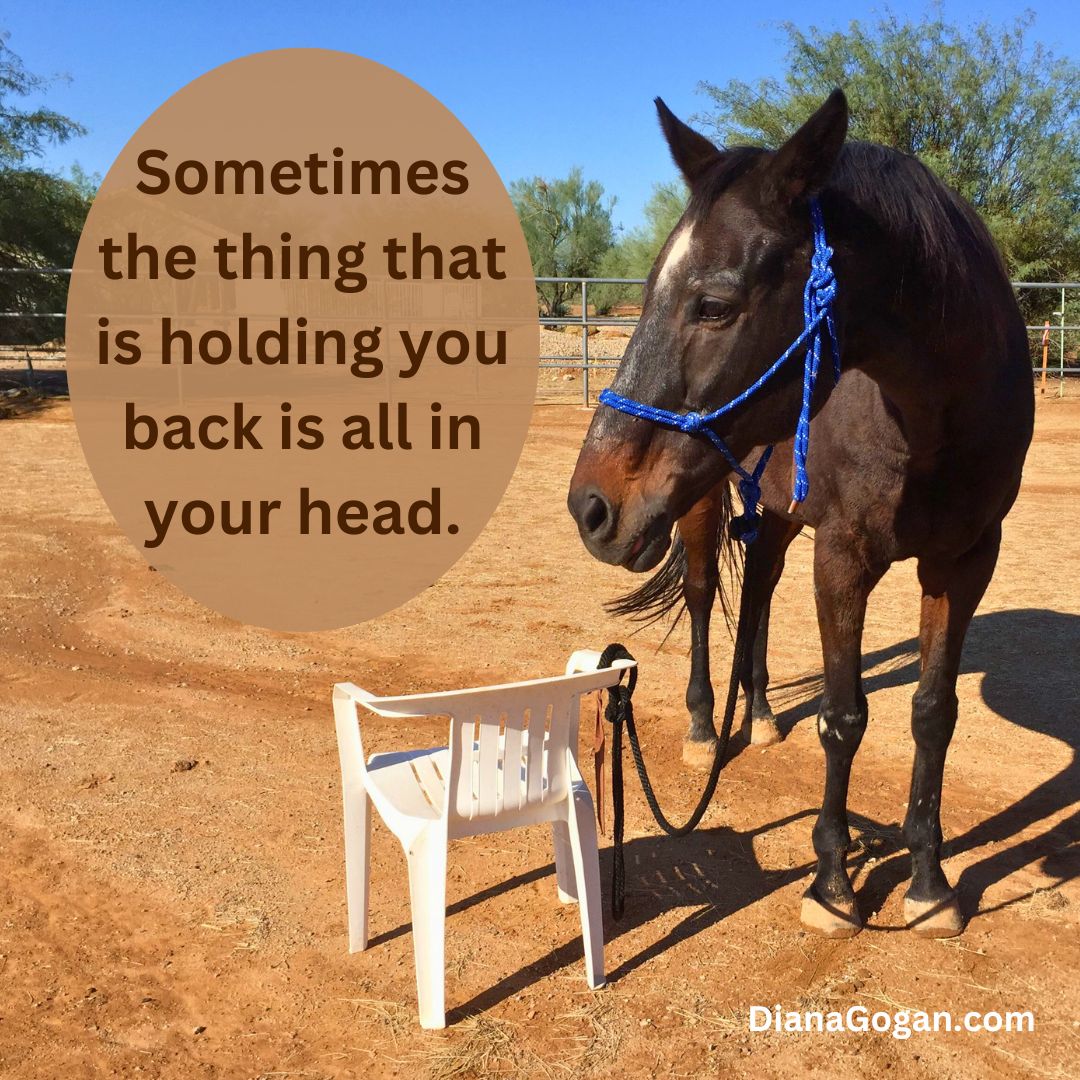 What’s the Lie Holding You Back? Do you ever find yourself saying…
❌ “I’m too old to start over.”
❌ “I’ll never be successful.”
❌ “I have to be perfect before I begin.”
These are just lies disguised as truth, keeping you from the life you desire. The good news? You can rewrite the narrative.
In my latest blog, I share 3 powerful ways to reframe self-defeating beliefs into truths that empower you.
Read it here: https://www.dianagogan.com/post/breaking-free-transforming-self-defeating-beliefs-into-empowering-truths
Want to experience this shift firsthand? Horses have an incredible way of showing us the truth we can’t see on our own. Join me for a Medicine Horse Session and step into your power.
What is a Medicine Horse Session? Learn more here: https://www.dianagogan.com/coaching-with-horses
#BelieveInYourself #BreakThroughBarriers #EquineAssistedCoaching #MedicineHorse #DianaGoganCoaching