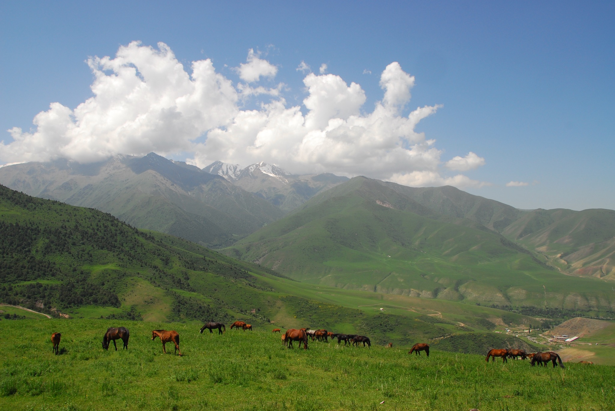 🐎🌄 Gallop through the scenic routes of Kyrgyzstan with Arista Travel. A horseback adventure of a lifetime! 🐴✨ #Kyrgyzstan #Nature #AristaTravelAsia #HorsebackRiding