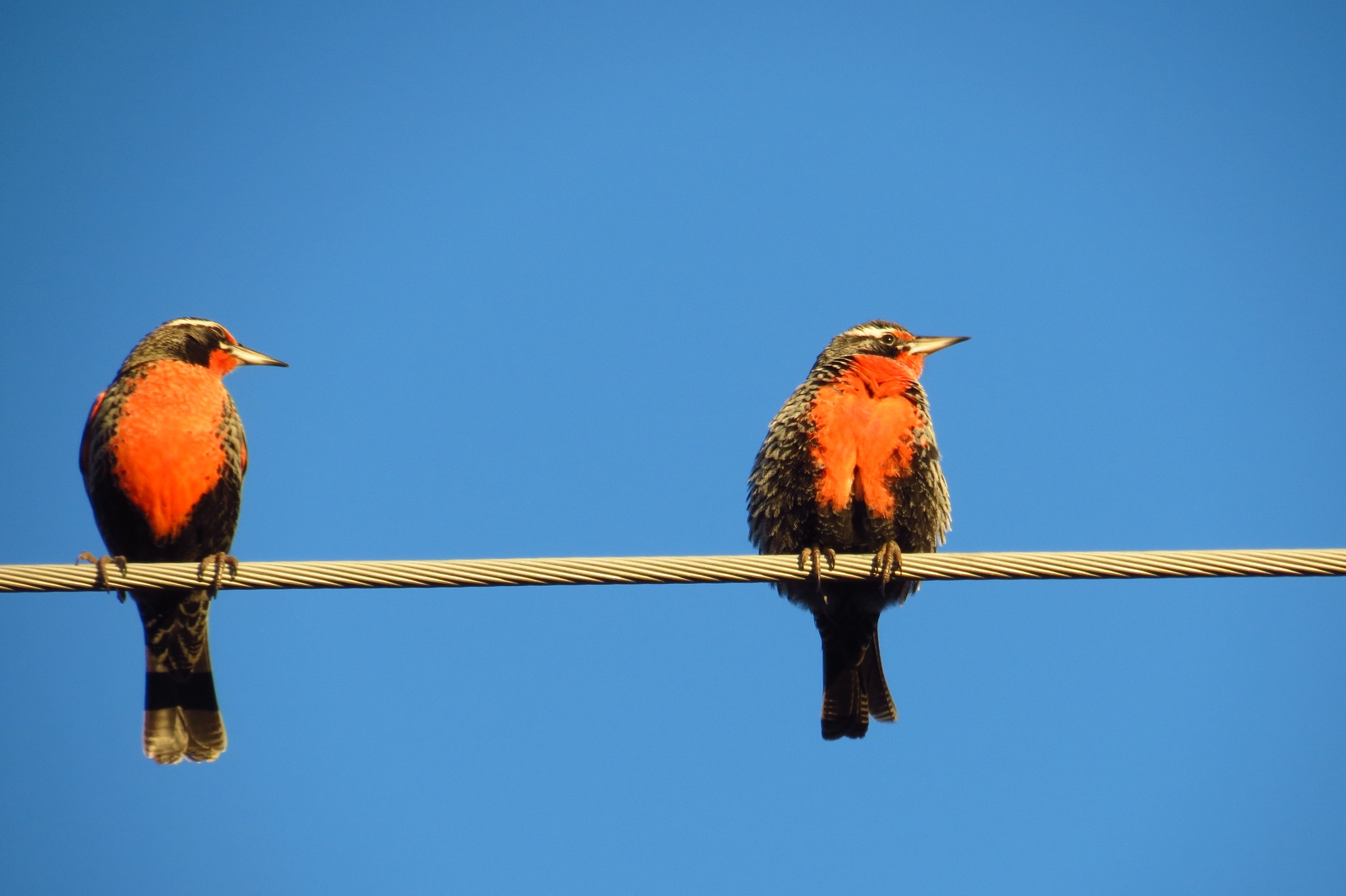 Curso básico!! 📸
Alumna: Karin Balazs
#lightroom #Bariloche #fotografiapaisaje #fotografiaaves
