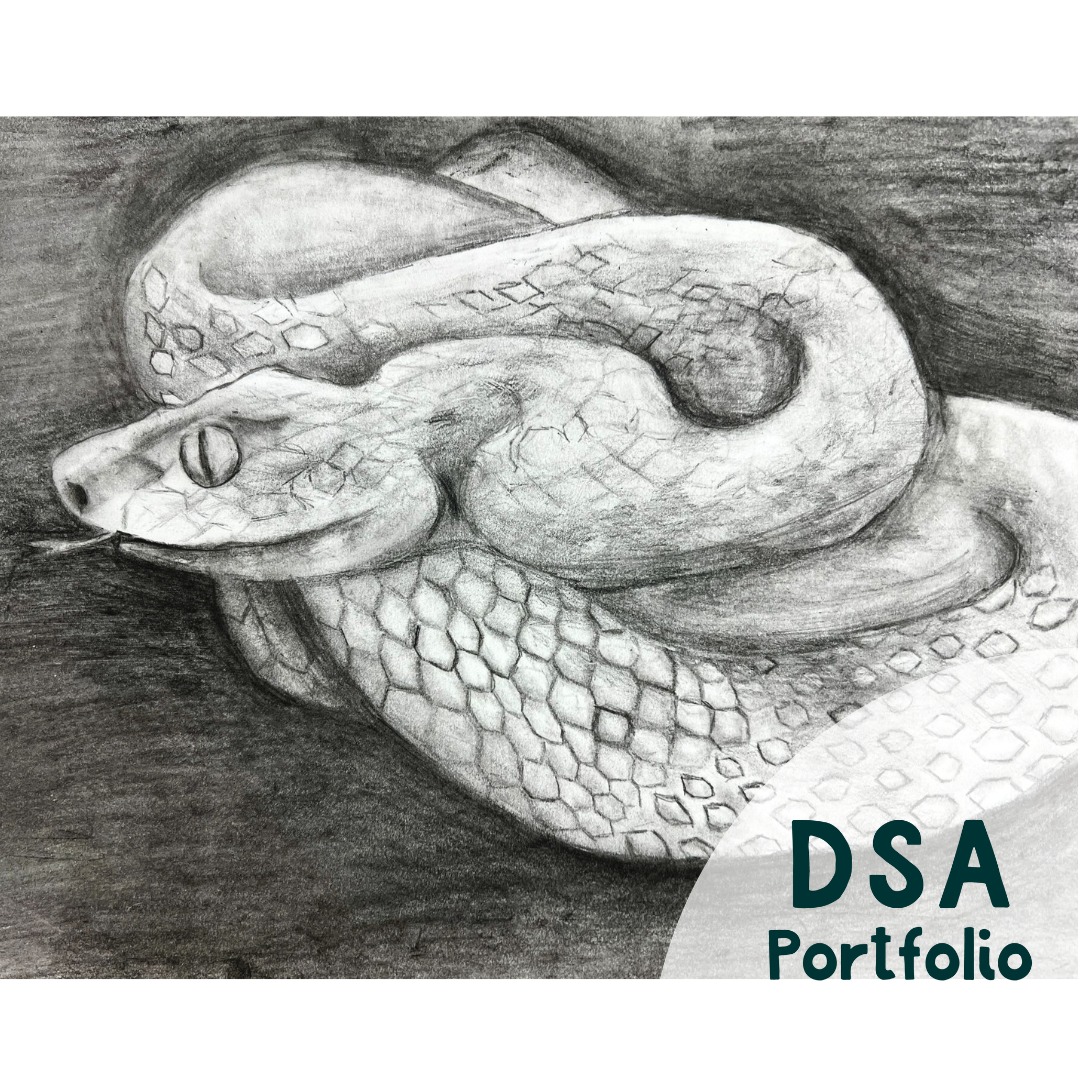 πβ¨ This Chinese New Year, our Advanced students showcased their artistry by creating their own snakes using detailed pencil shading techniques. They observed and brought to life the intricate patterns and textures of a snake, reflecting patience, precision, and the spirit of creativity as they honor the Year of the Snake. Well done, artists! π
