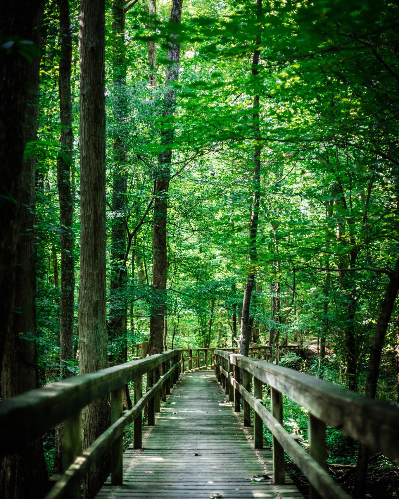 Nestled amidst the picturesque landscapes of Big Hill Pond State Park, you can find various gems like this wooden boardwalk to explore the beauty of spring.
As the Spring season shares its new blooms, there's no better time to bask in the splendor of the great outdoors, soaking up the fresh air and finding solace in the peace that nature provides.
Escape the hustle and bustle of daily life and immerse yourself in the tranquility of one of the many state parks in Tennessee. Contact Tennessee Drone Services today and let's capture the beauty of nature together!
#TennesseeStateParks #WoodenBoardwalk #SpringWeather #NatureWalk #Tranquility #PeaceOfMind #OutdoorAdventure #photography #TennesseeDroneServices #CaptureNature #marketing #marketingdigital #bighillpond
