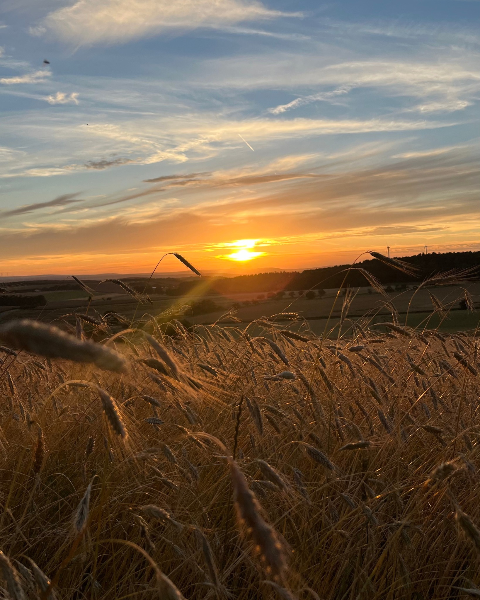 🌅 Abendstimmung auf unserem in der Natur gelegenen Bogenplatz in Höhefeld 🎯
#bogenschießen #bogenschiessen #höhefeld #Wertheim #badenwürttemberg #sonnenuntergang