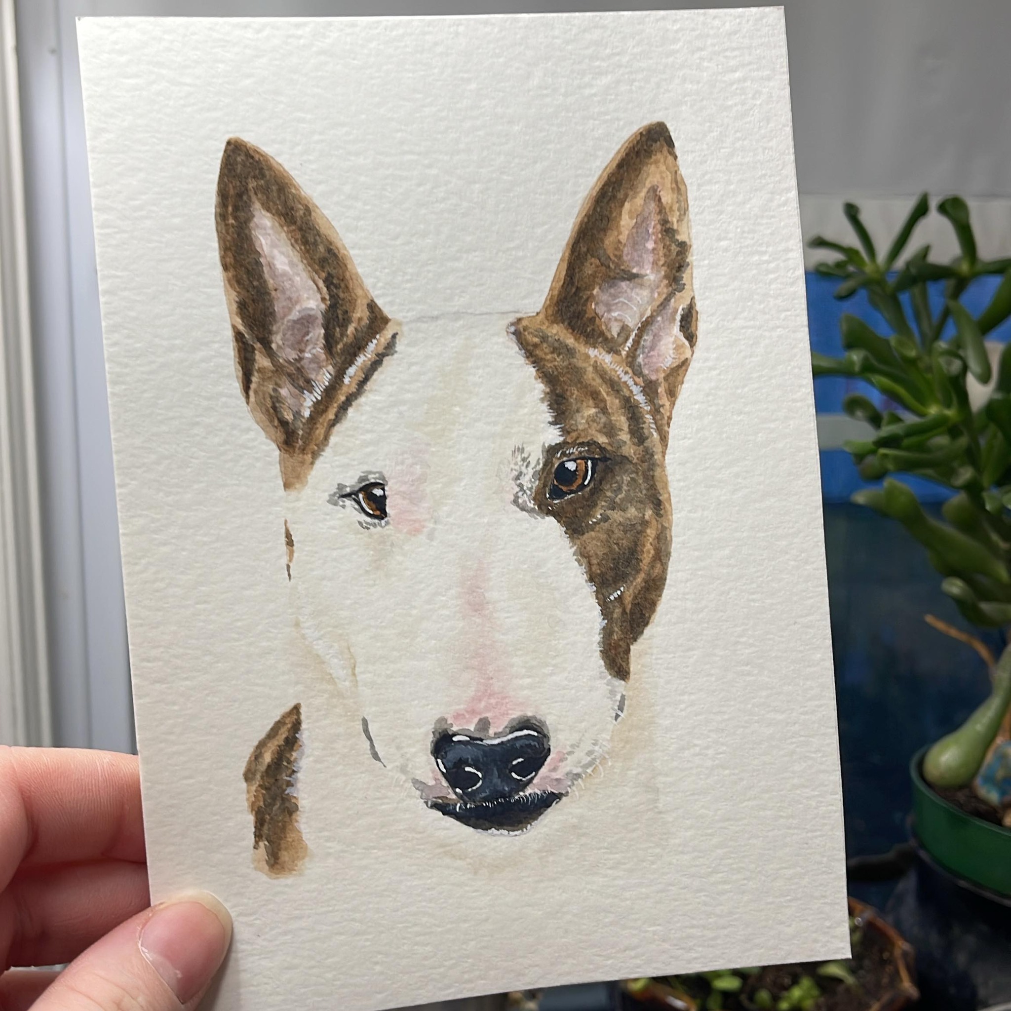 New paintings means more dog breeds! This is a Bull Terrier. Cards of this guy soon to come!
