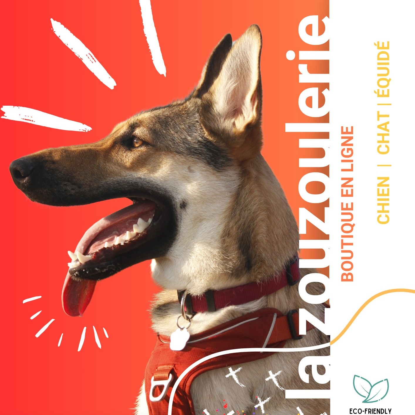Mais c’est quoi, au juste, La Zouzoulerie ?
C’est un atelier artisanal (sans boutique physique) à Luzy, dans lequel je crée pour vos animaux :
🐶 jouets pour chiens,
🐱 jeux pour chats,
🐴 et quelques accessoires utiles pour les équidés.
Avec des matériaux de seconde main trouvés en ressourceries, et une envie : faire plaisir à vos Pot’à pattes sans faire fondre la planète.
C’est un peu fou, un peu poilu, beaucoup fait avec le cœur.
Bienvenue dans la tribu 💛