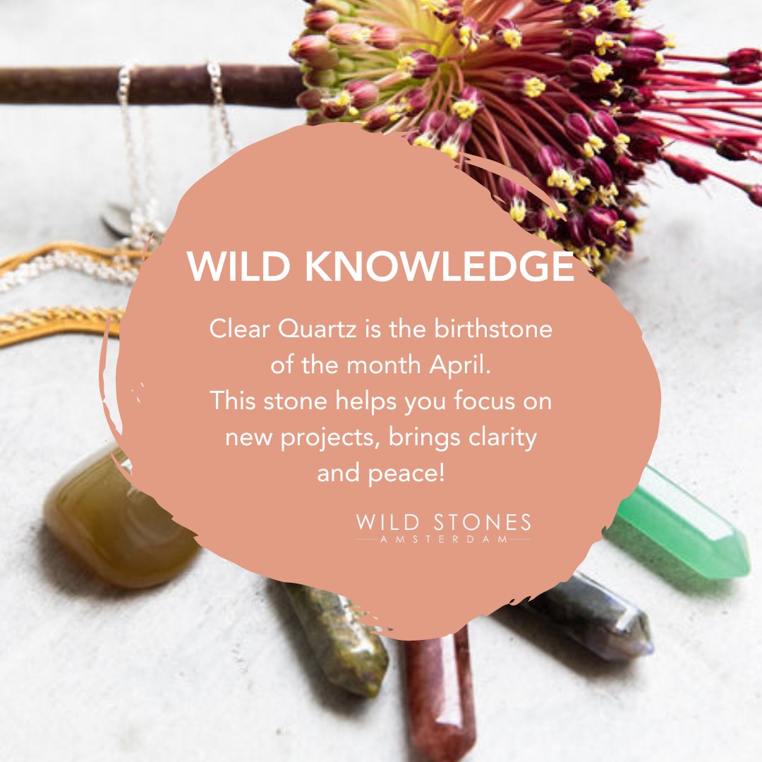 🌸April and Clear Quartz go hand in hand! The gemstone of April will bring clarity and peace into your life. Clear Quartz helps you focus, especially on new projects. The stone is not only for those born in April or those who need some focus!
Did you know that this gem's nickname is: "the fashion diamond"? It has the luxury look of a diamond and will absolutely elevate your style!💍
#gemstonejewelry #gemstonehealing #dutchbrand #GemstoneMagic #gemstoneshop #amsterdam #spirituality #edelsteensieraden #wildstonesamsterdam #crystallovers #crystalloversofinstagram #gemstonelover #crystals #dutchdesign #gemstonepower #gemstonenecklace #clearquartzjewelry #clearquartznecklace #clearquartzcrystal #clearquartzcrystals #clearquartzsphere #spiritualjourney