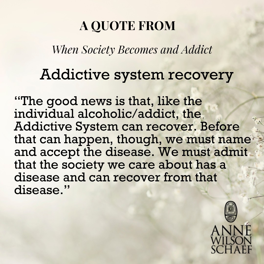 The good news is that, like the individual alcoholic/addict, the Addictive System can recover. Before that can happen, though, we must name and accept the disease. We must admit that the society we care about has a disease and can recover from that disease. #addiction #addictionrecovery #addictivesystems #recoveryispossible