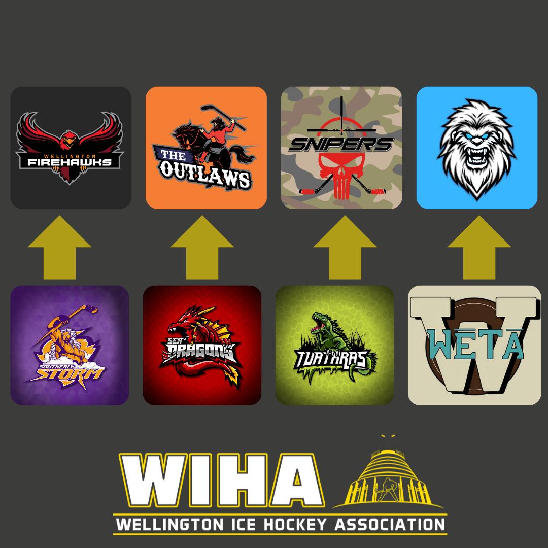 📣 G2 FARM TEAMS for GRADE 1 📣
We're excited to share a new rule that will support the connections between our Grade 2 & Grade 1 teams as well as helping the growth of our grade 2 players.
Each G1 team has a G2 Farm Team.
🏒 If the G1 team needs a substitute/ringer, they will look to their G2 Farm Team
🏒 The GM/AM of the G1 team will connect with the GM of their G2 farm team to understand who is available and who wants to play
🏒 If there is no-one available from the farm team, another grade 2 player can be used with agreement from the relevant GMs/AM
This is a new rule so there will be some learnings along the way so please bear with us. If you do have questions/suggestions as the season progresses on this rule (or anything related to the season), chat with your GM first