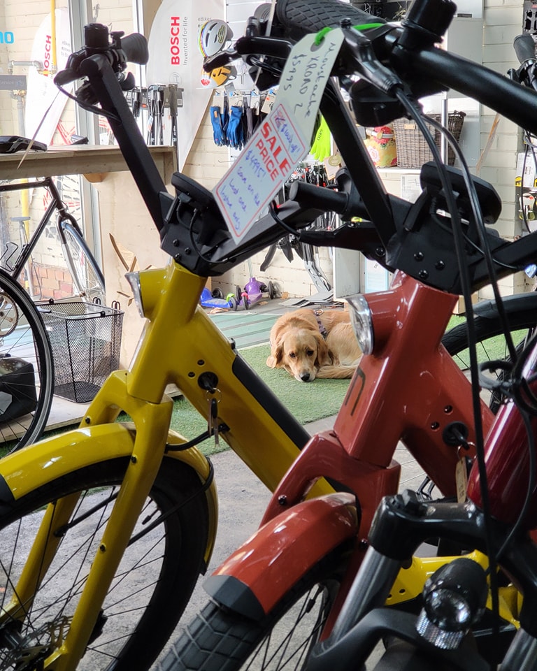 Feeling watched again today....