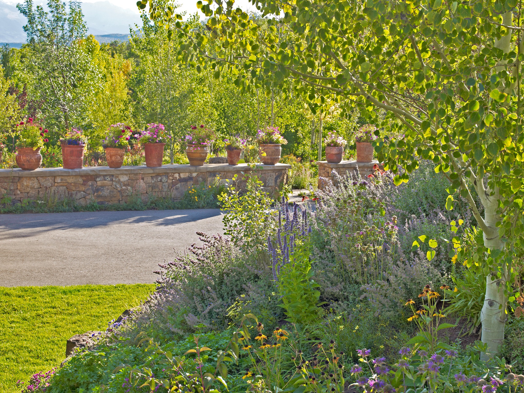 the best of both worlds 🌿🌷
A planting palette designed for evolution—where beauty meets ecology, and habitats come alive through cross-pollination 🐝 and emerging patterns. Vibrant pots atop a stone veneer wall let our color-savvy clients introduce bold seasonal pops that brighten their garden throughout the warmer months. ☀️🪻
📸: @jasondewey
#landscape #landscapearchitecture #landscapedesign #design #gardendesign #nativeplanting #designinspo #designinspiration #aspen #colorado #luxurygardens #luxurydesigns #plants #local