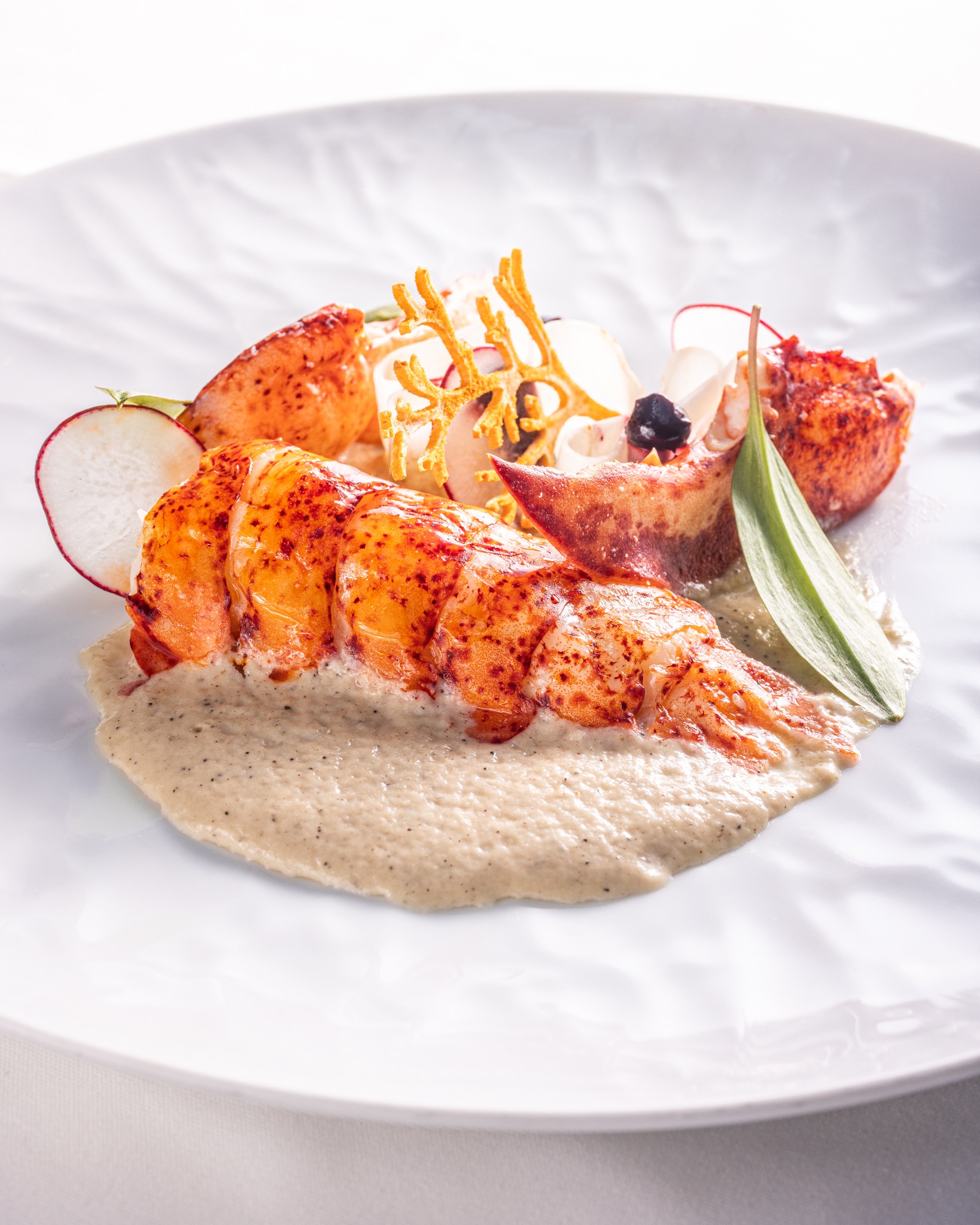 Découvrez notre Homard du Québec, sublimé par la douceur fruitée de la camerise et la fraîcheur croquante de la sucrine. Accompagné d'une sauce audacieuse au chou-rave et café, ce plat marie parfaitement les saveurs locales et l'innovation culinaire. Une expérience gustative unique qui célèbre le meilleur du Québec. Bon appétit !
@lyraphoto