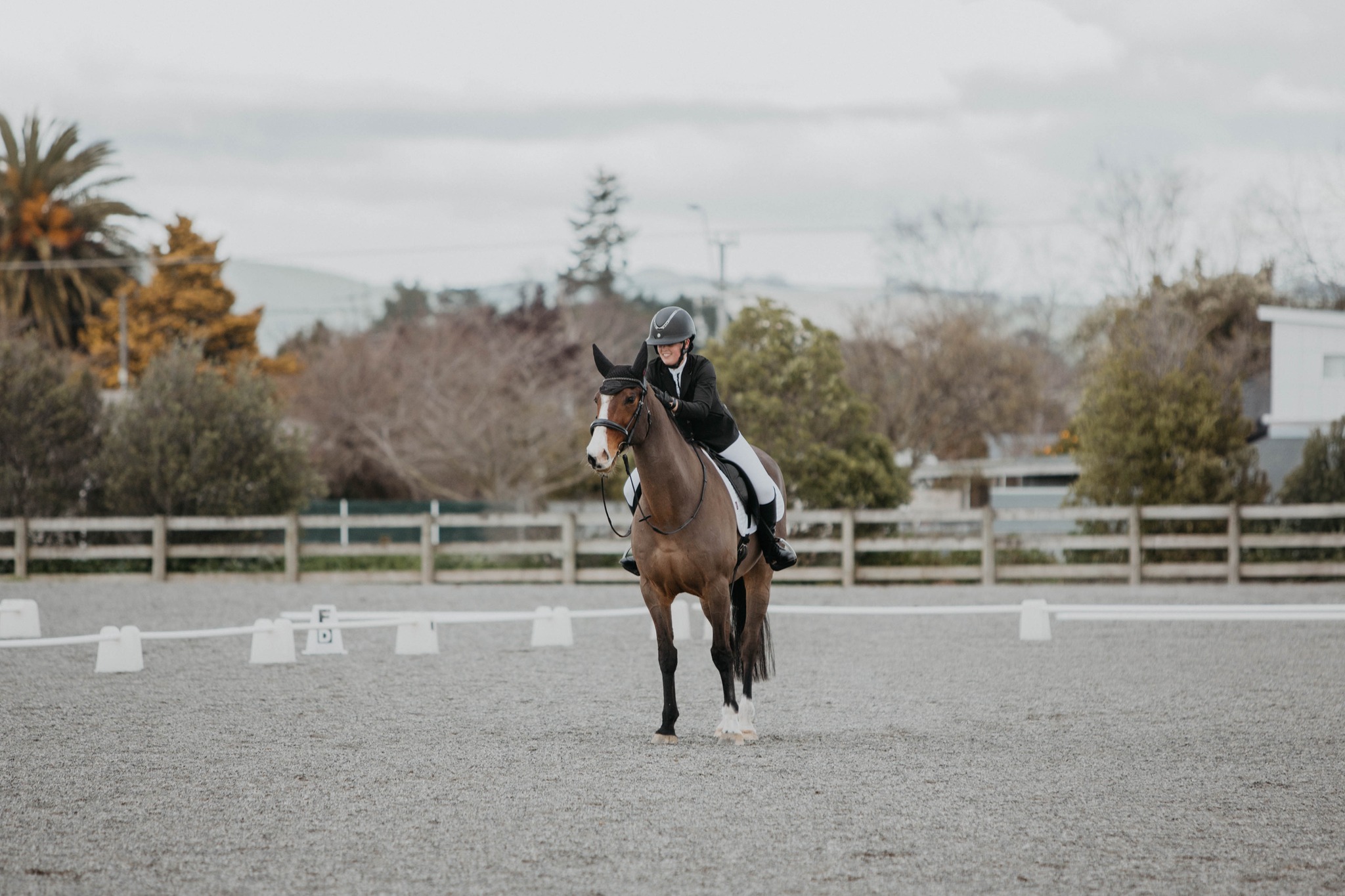 Equine sales package!
Perfect if you are planning on selling or to update your current ad.
45m session. 20 photos - $100
Can include standing shots, ridden, free paddock shots etc
Advertising usage license
For those new to selling can help plan best type of photos to capture.
Add a edited 1 minute long sale video to session - $75
Add extra horse to session - $50 (adds 15 minutes to session)
Contact me for more info.