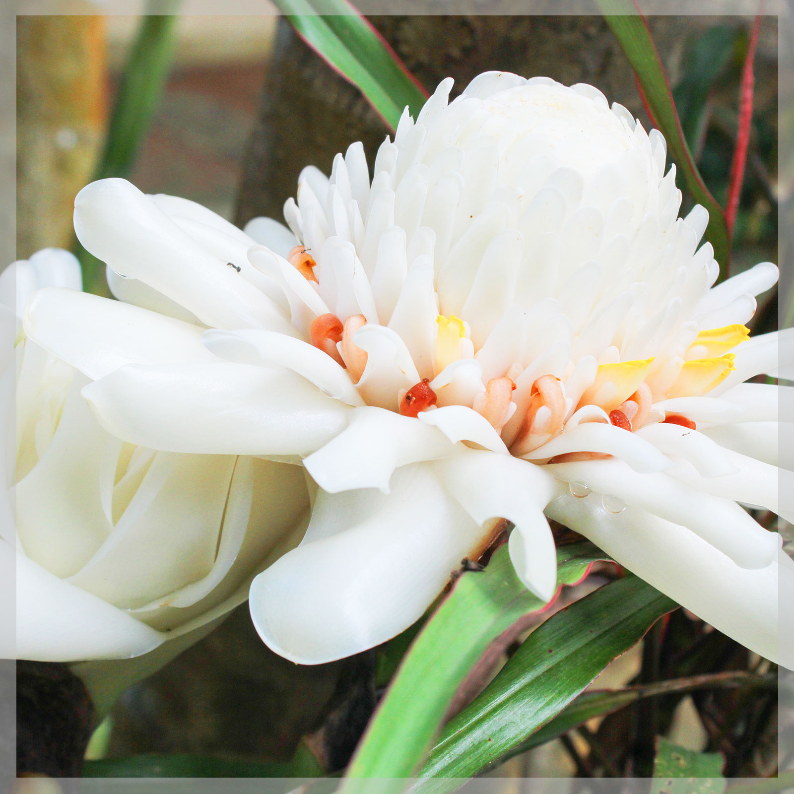 Vous pouvez aussi suivre le compte Instagram pour voir plus de contenu.