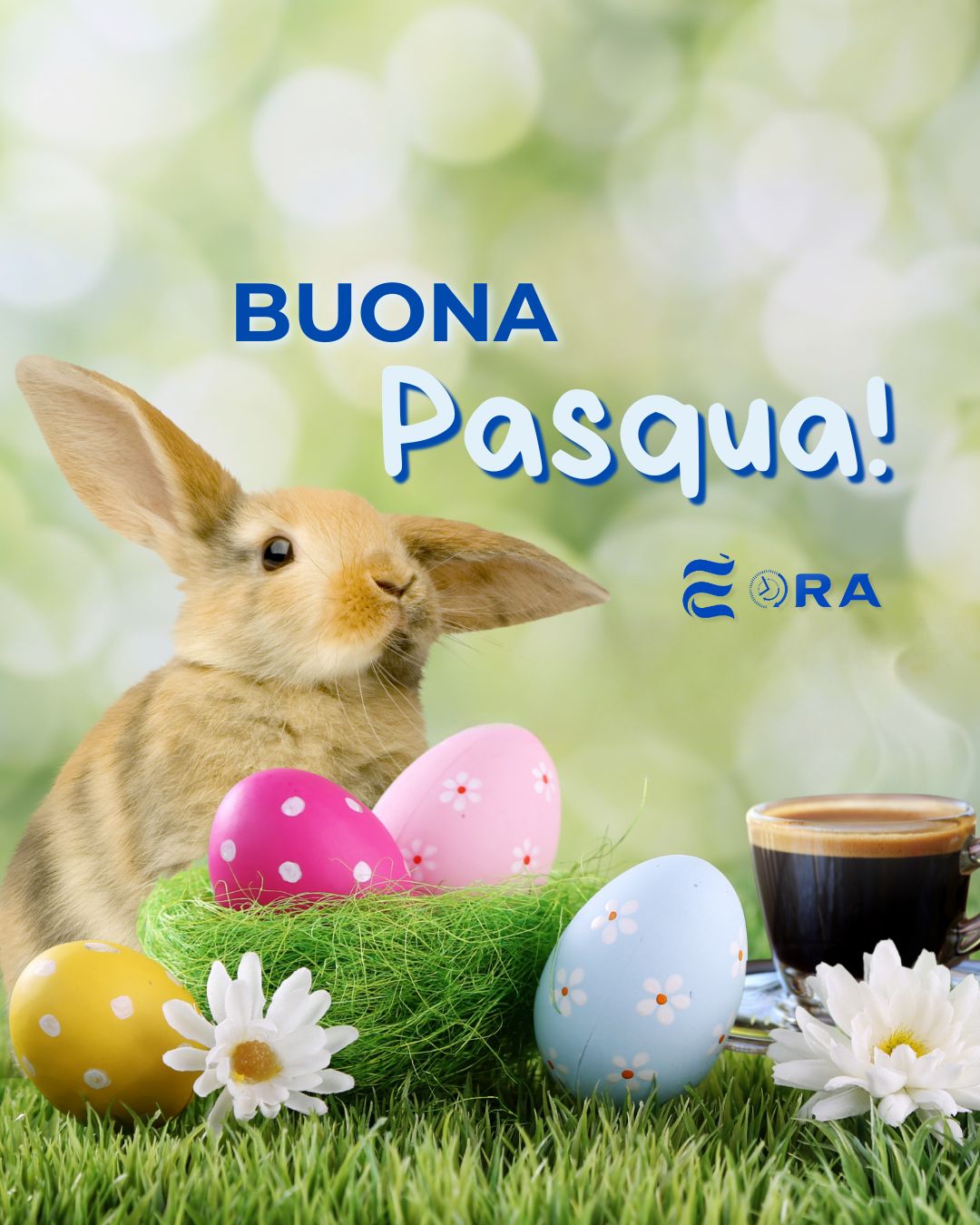 Tutta la rete È Ora, dal Nord al Sud Italia, vi augura con tutto il cuore una serena e rilassante Pasqua! 🕊️ 🐣 🤍
