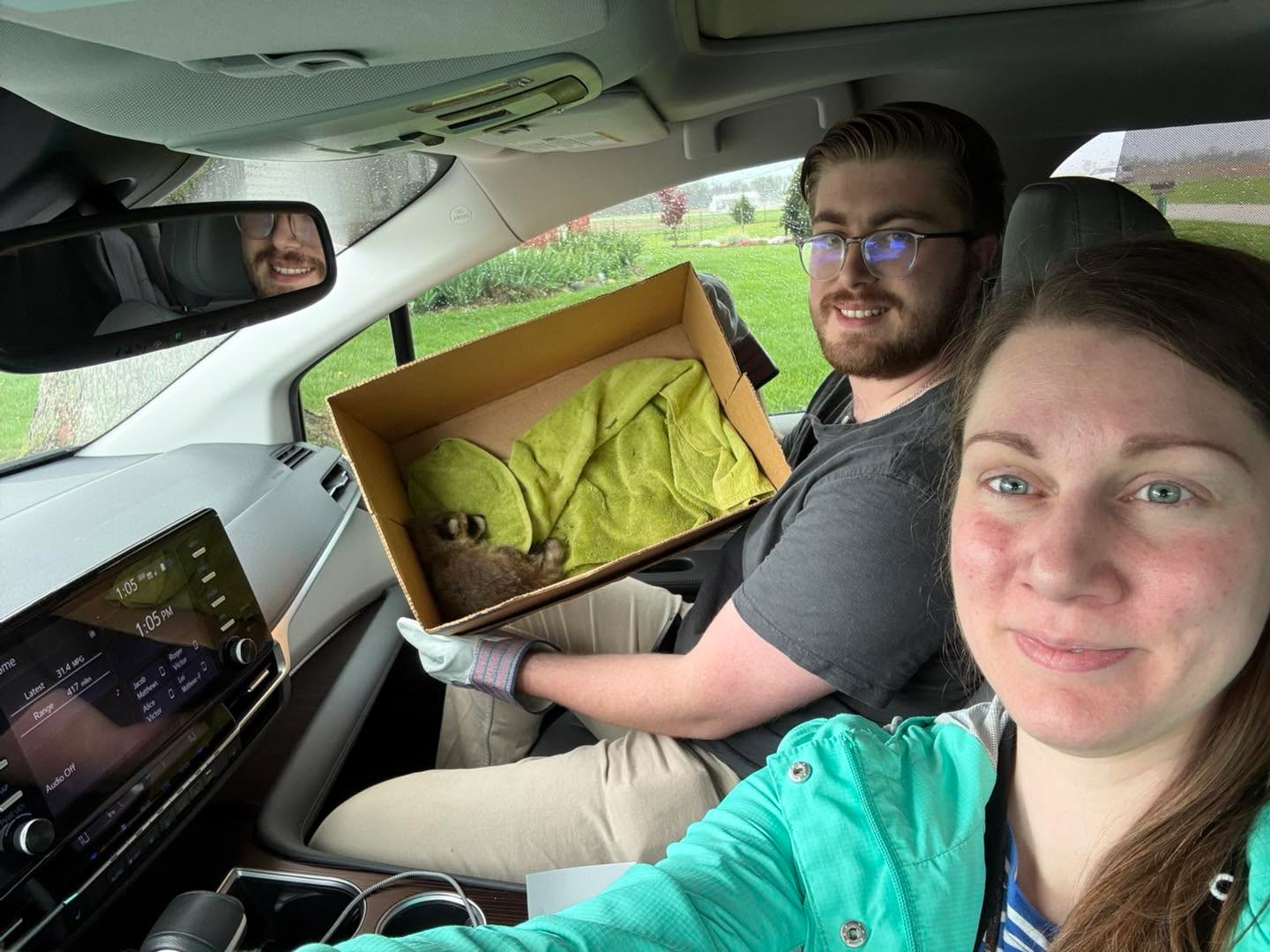 When you work for a small museum you often end up being responsible for a wide variety of duties. Today we got to relocate a baby raccoon who has been alone at the front steps for a couple days. Huge thanks to Critter Corner for taking in little Henrietta!
(Originally we decided to call our resident baby raccoon Henry, then discovered it was actually a Henrietta! Sorry Joanna, next time we find a baby animal we’ll name it after you!)
#Crawfordsvilleindiana #laneplace #historichomes #wildliferescue #babyraccoon