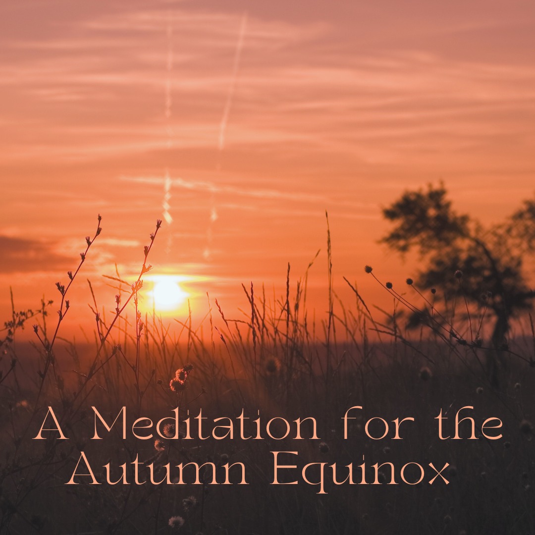 🍂✨ Join me in celebrating the Autumn Equinox with an online guided meditation (Sunday 22 September at 5pm on Zoom).
As the wheel of the year takes another turn and the seasons change, it’s the perfect time to find balance and harmony with nature. Let’s reflect on our personal harvests 🌾, set intentions for the slower months ahead, and make space for the soft, quiet energy of autumn 🧘♀️🌙 🍂
Sign up now for a 30 minute practice of peaceful reflection and renewal! Use the Events link in my bio to RSVP or visit www.blueskybodymind.com 🙏 #AutumnEquinox #GuidedMeditation #BalanceAndHarmony #restandrestore #HarvestSeason